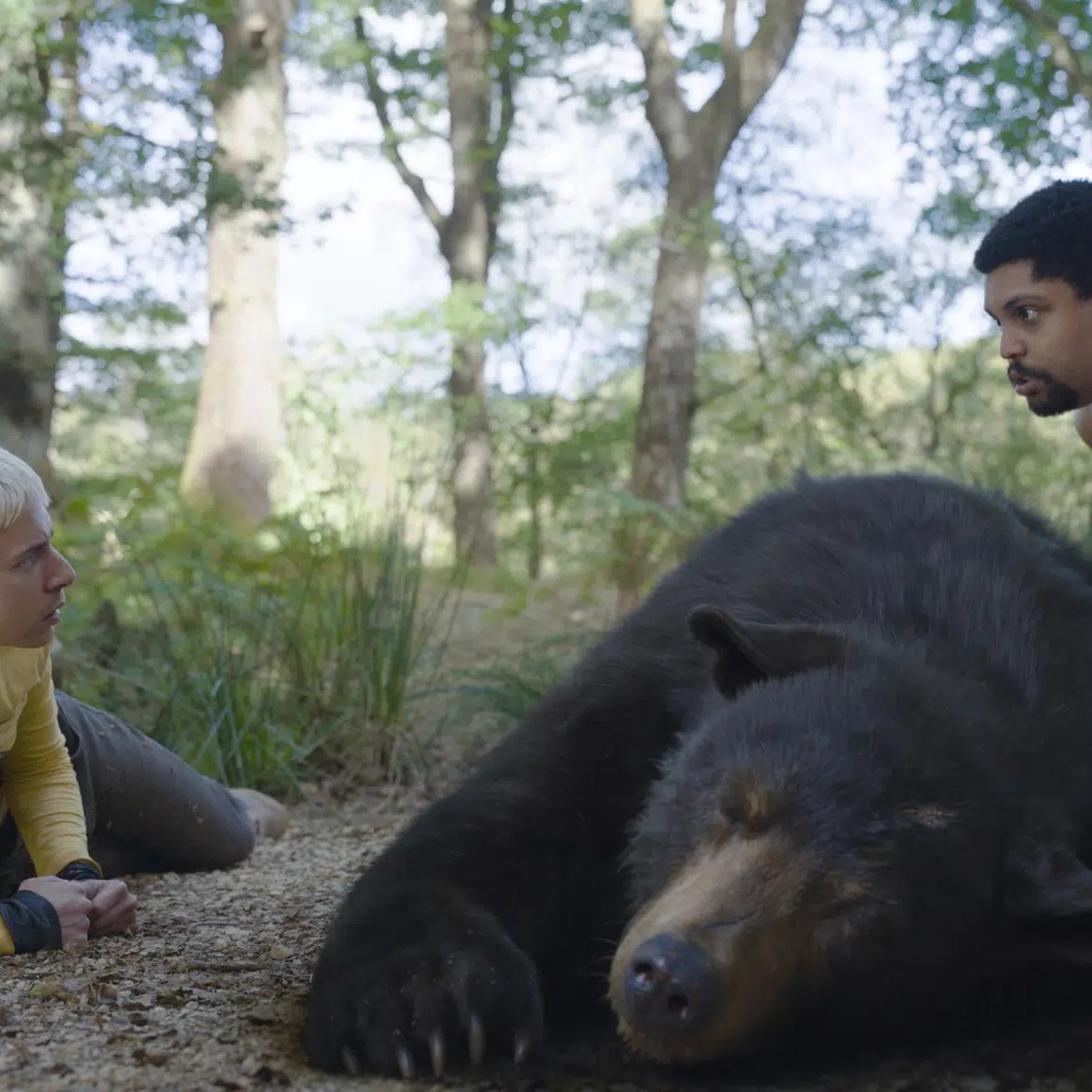 COCAINE BEAR! episode artwork