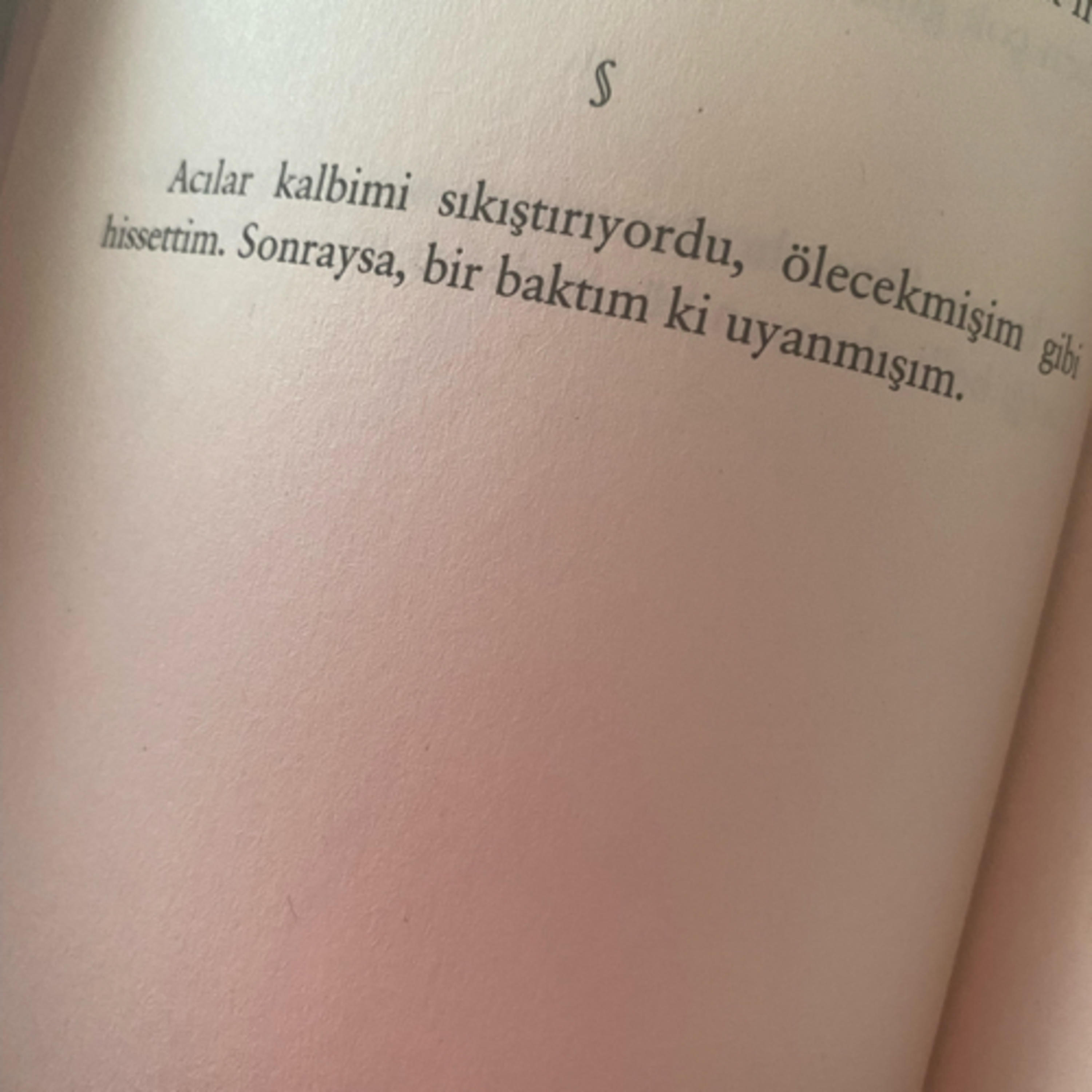 24 Ekim Haftası