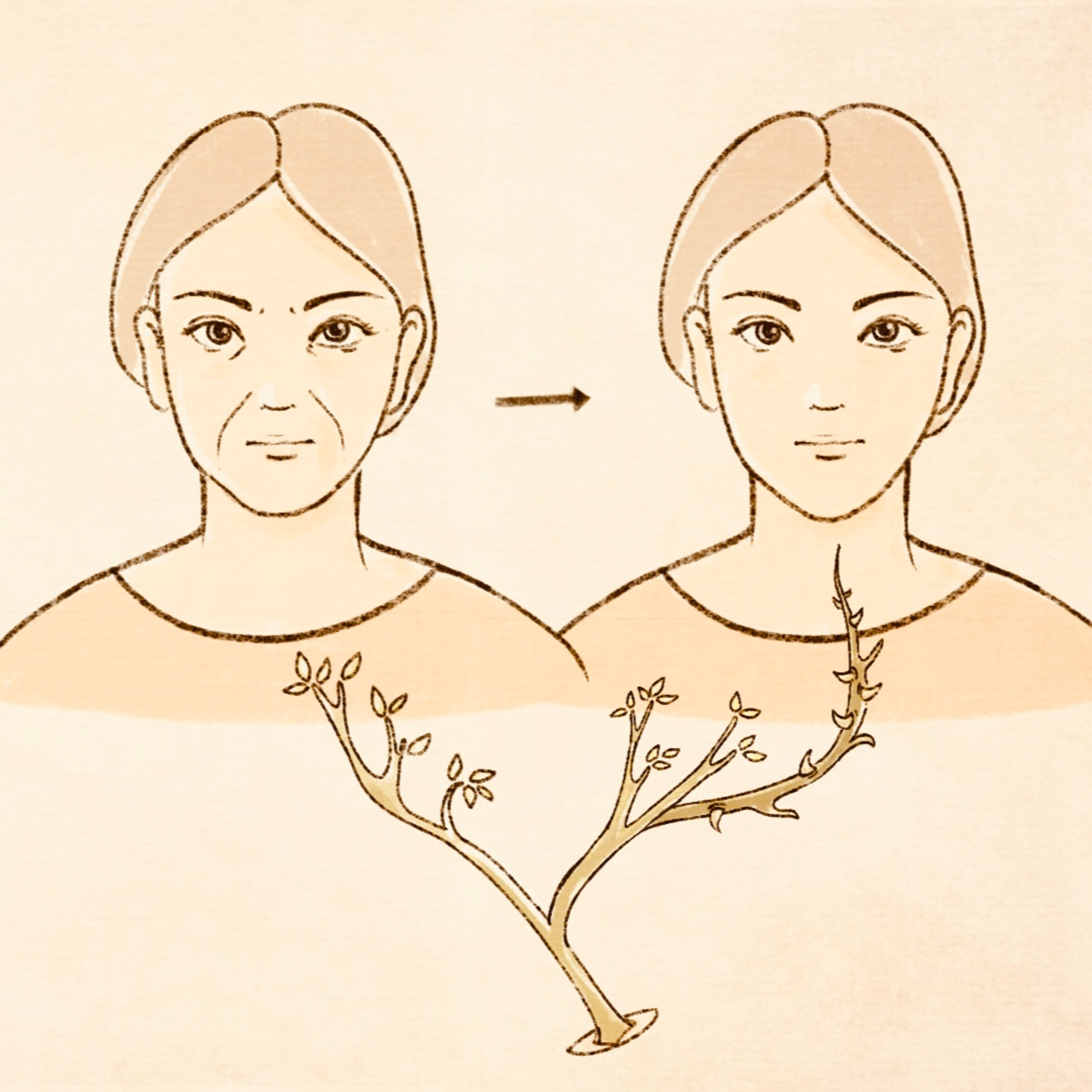 Kiến thức tâm linh và đời sống | Tâm Linh Toàn Thư