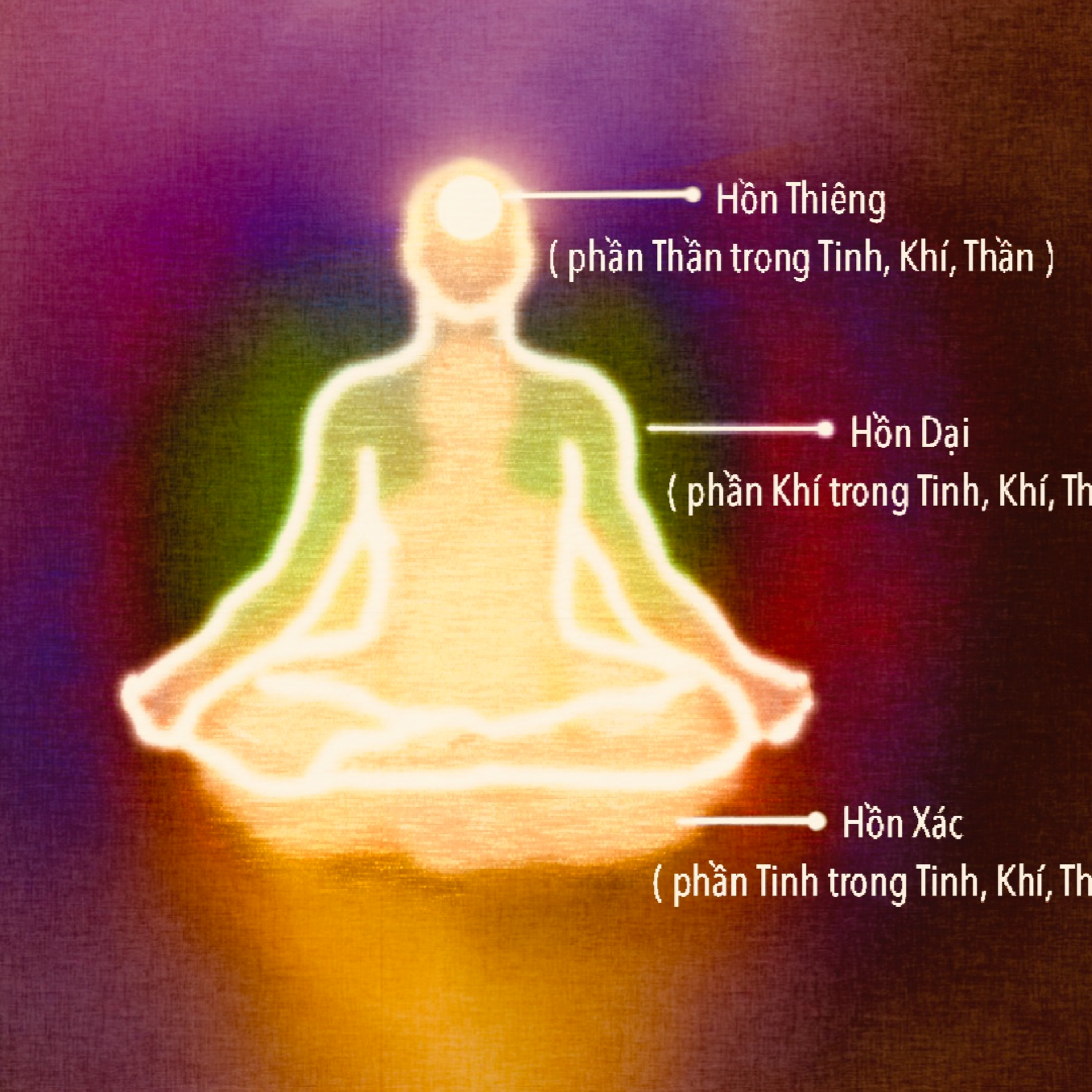 Tam hồn thất phách hay ba hồn bảy vía và sự liên hệ đối với con đường tu tập tinh tấn ?
