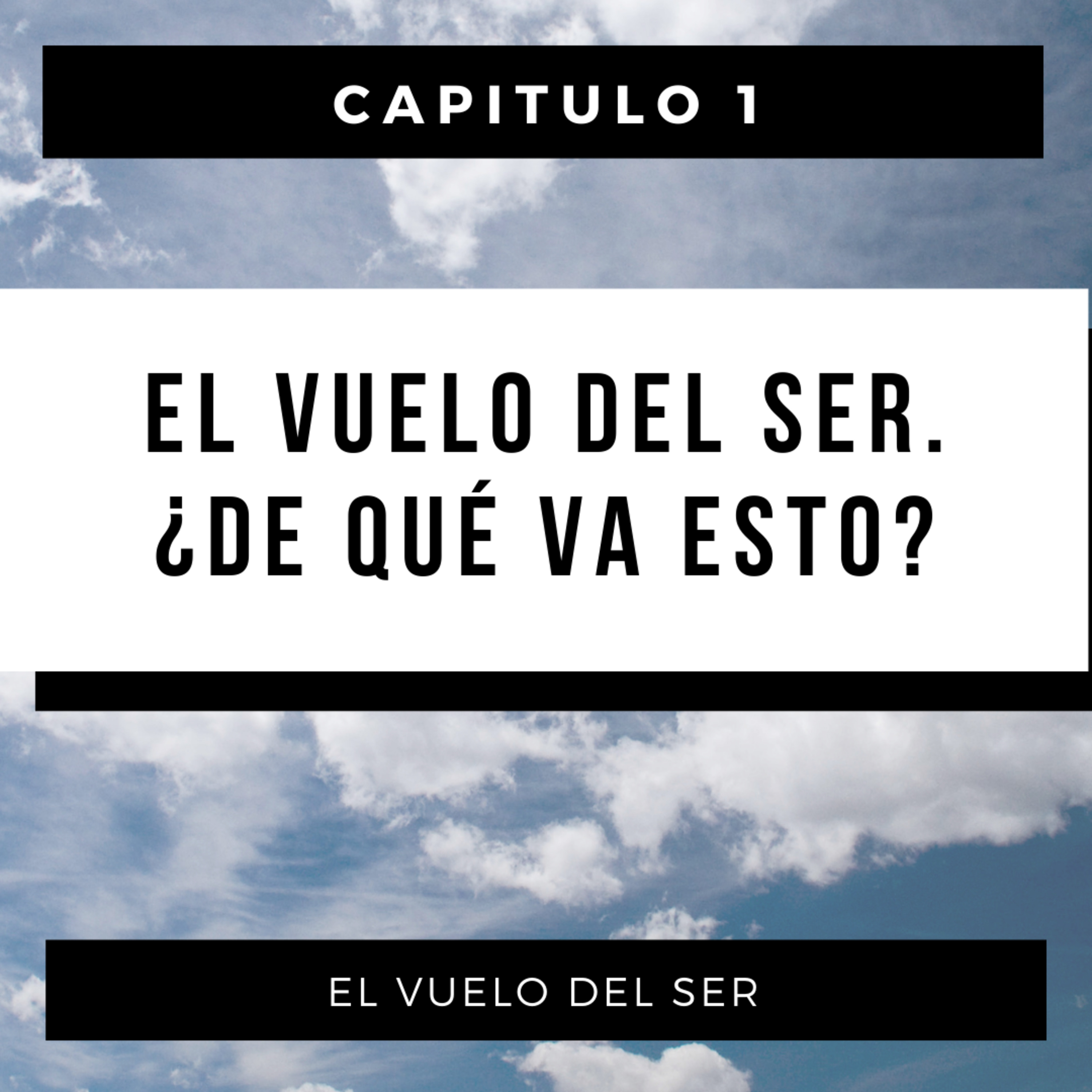 El Vuelo del Ser