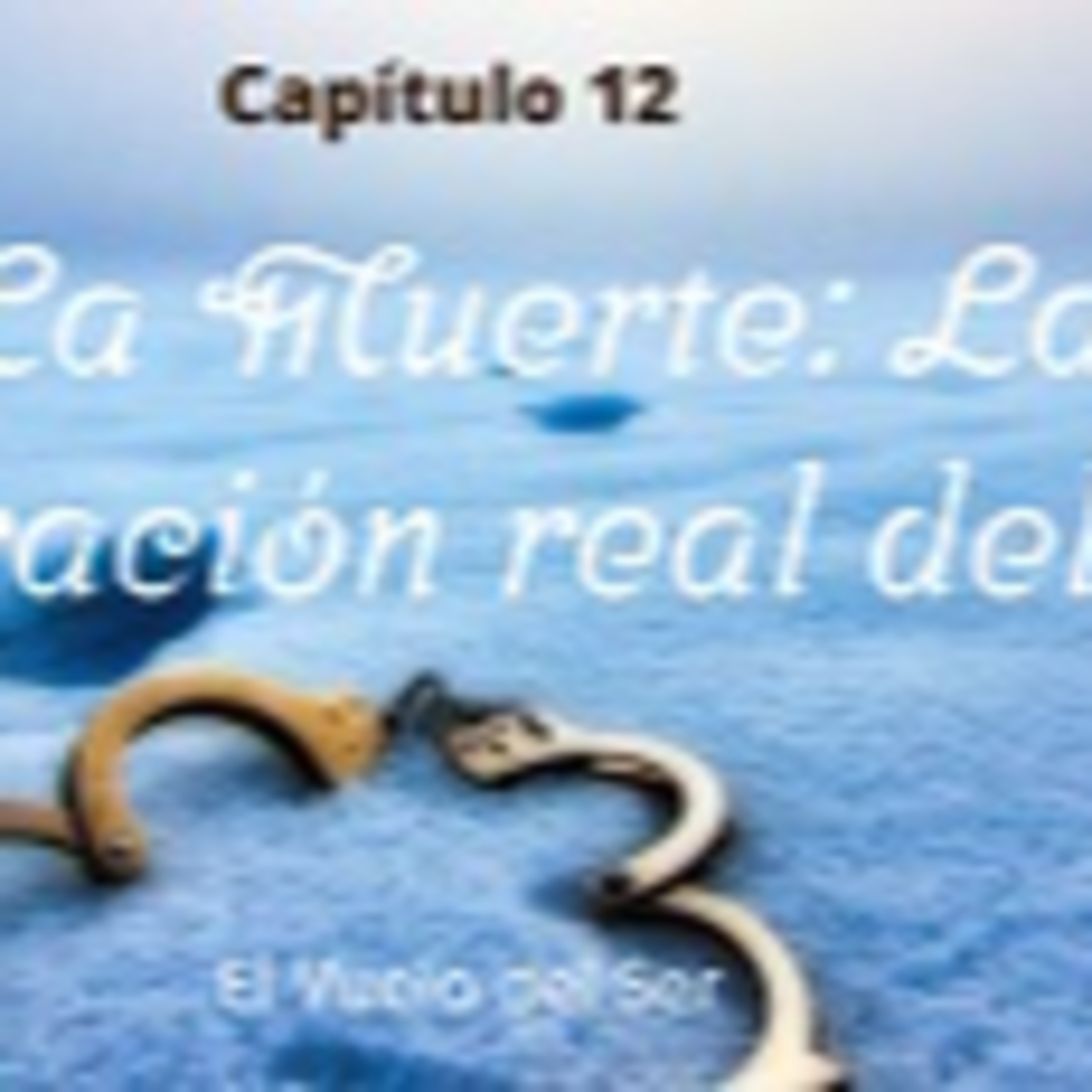 El Vuelo del Ser