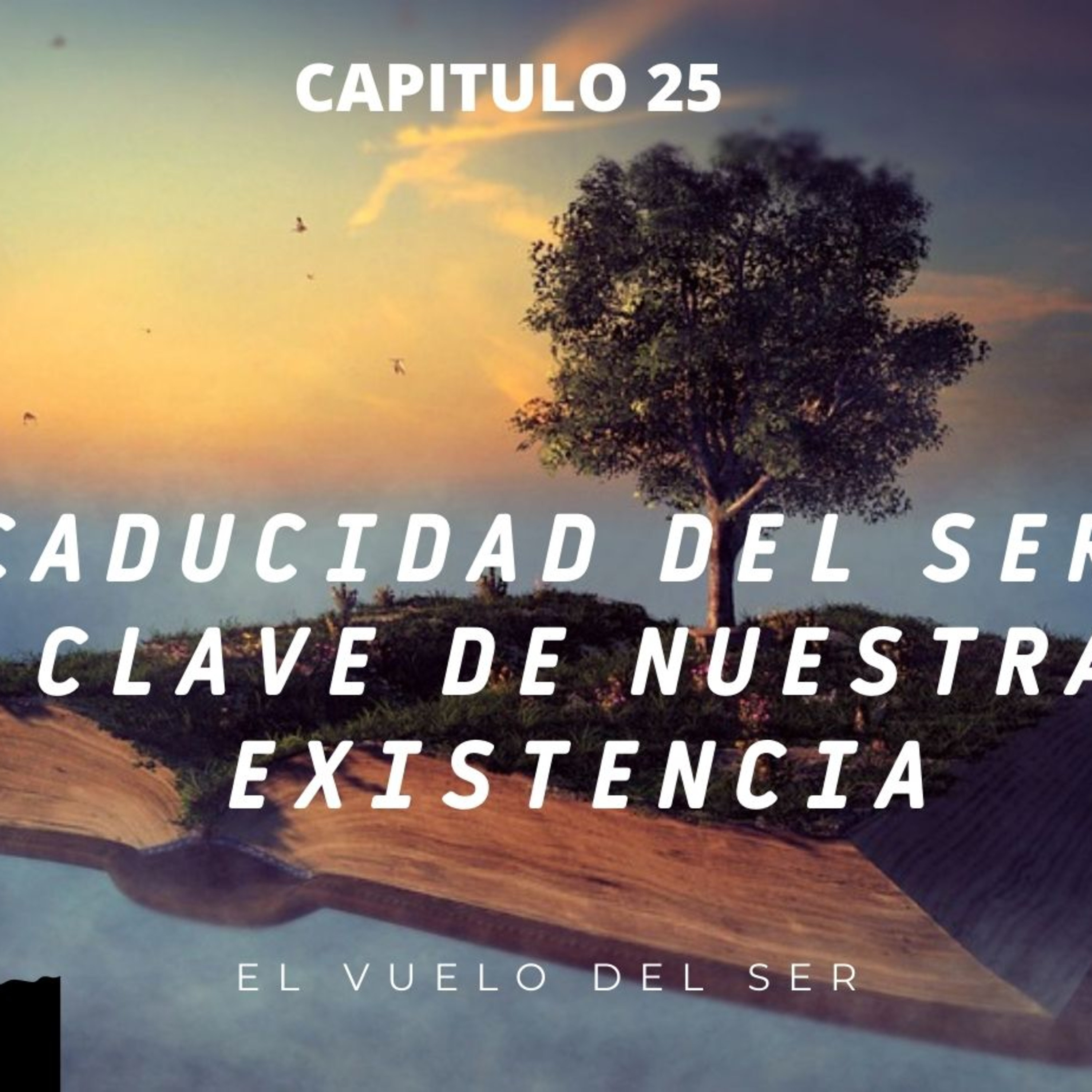 El Vuelo del Ser