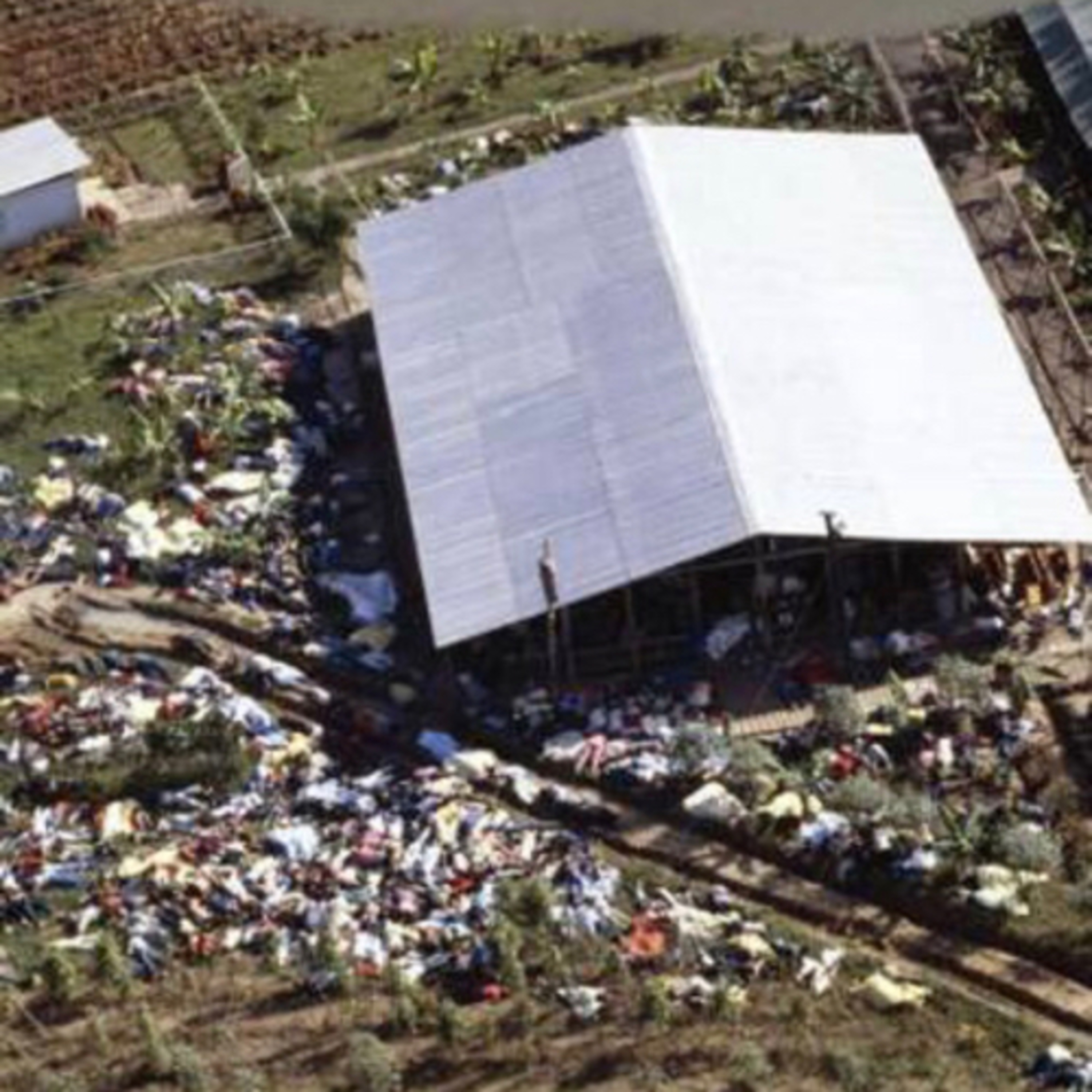 Jonestown Mass Suicide episode artwork
