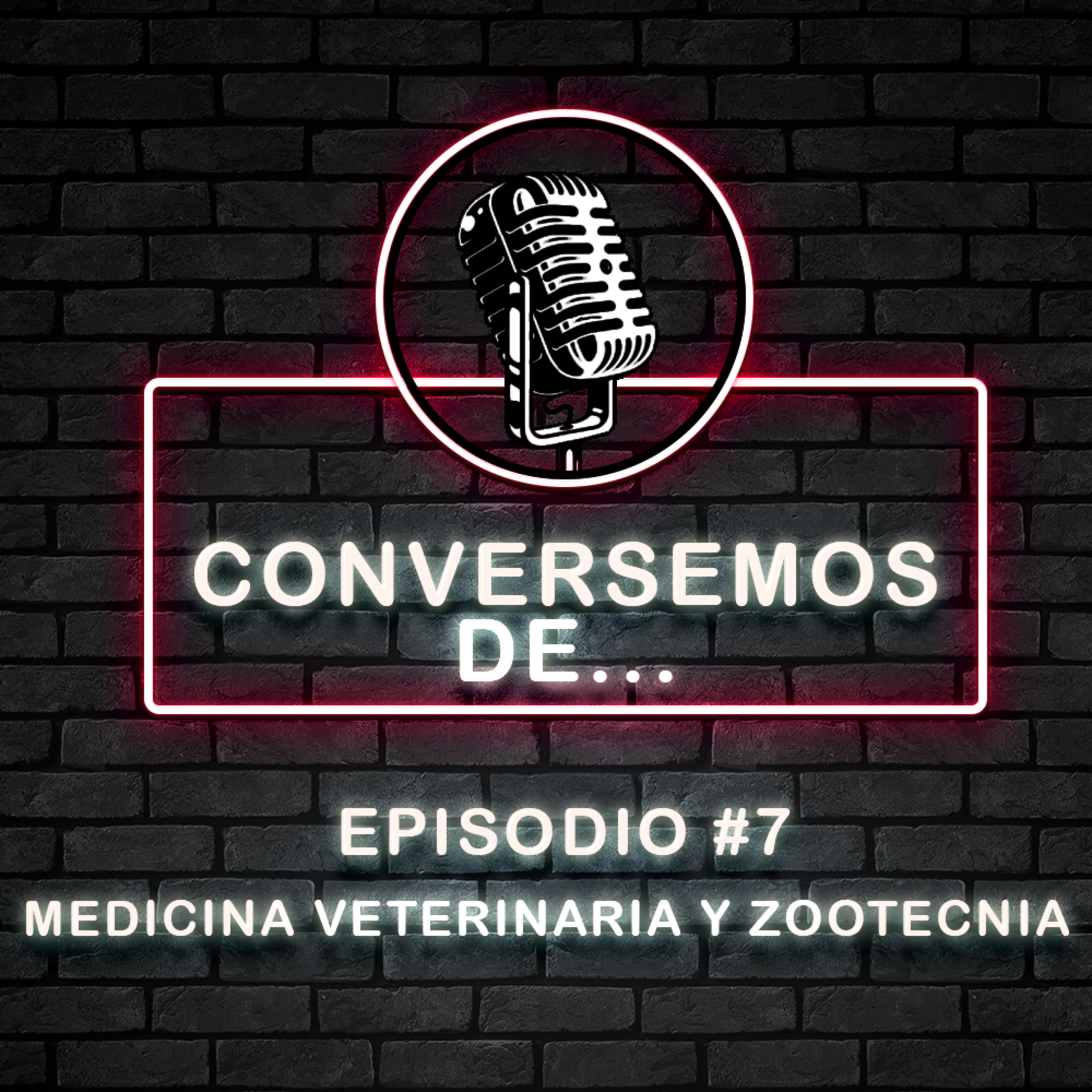 Conversemos De...