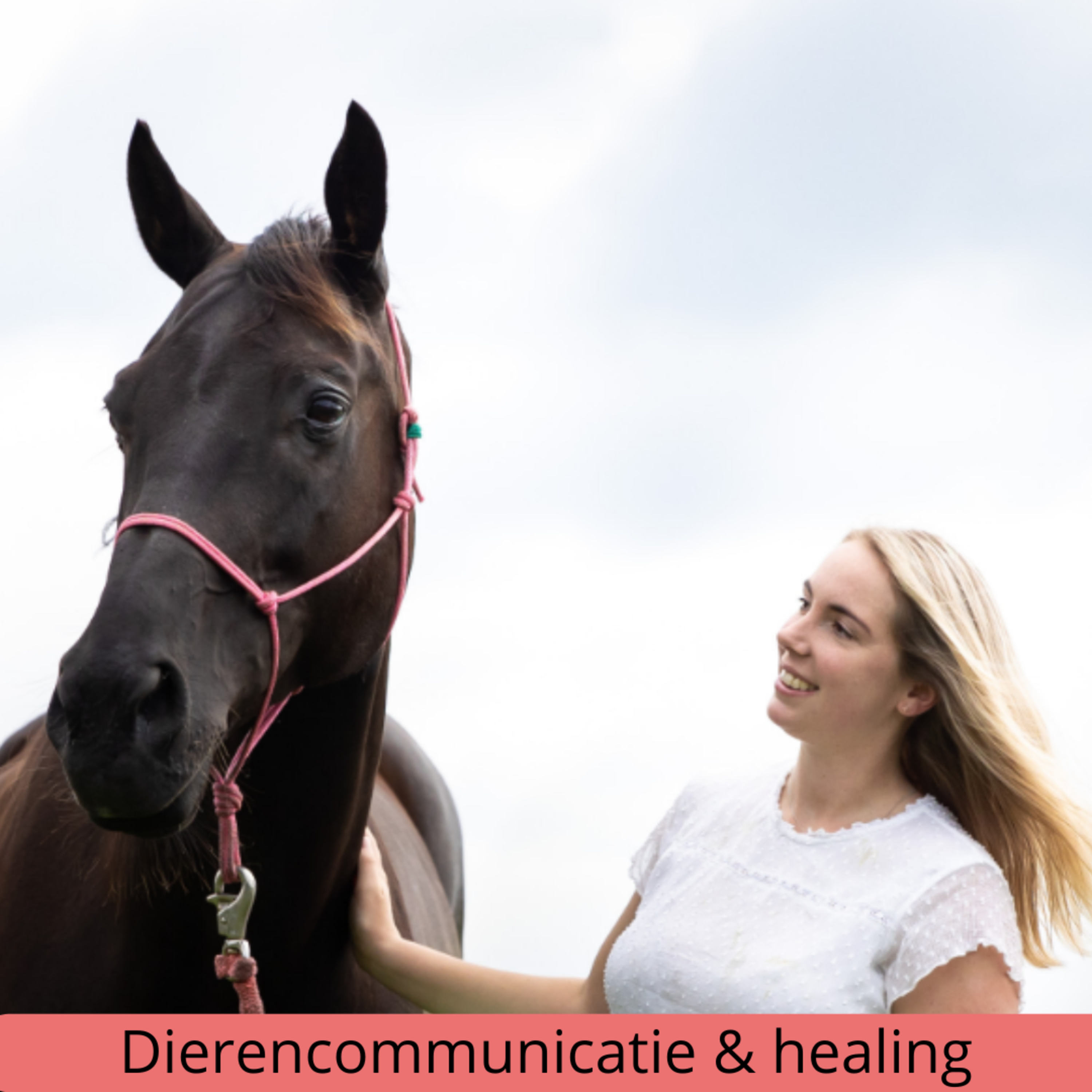 Samen Inzicht in dierengedrag en spiritualiteit ♡