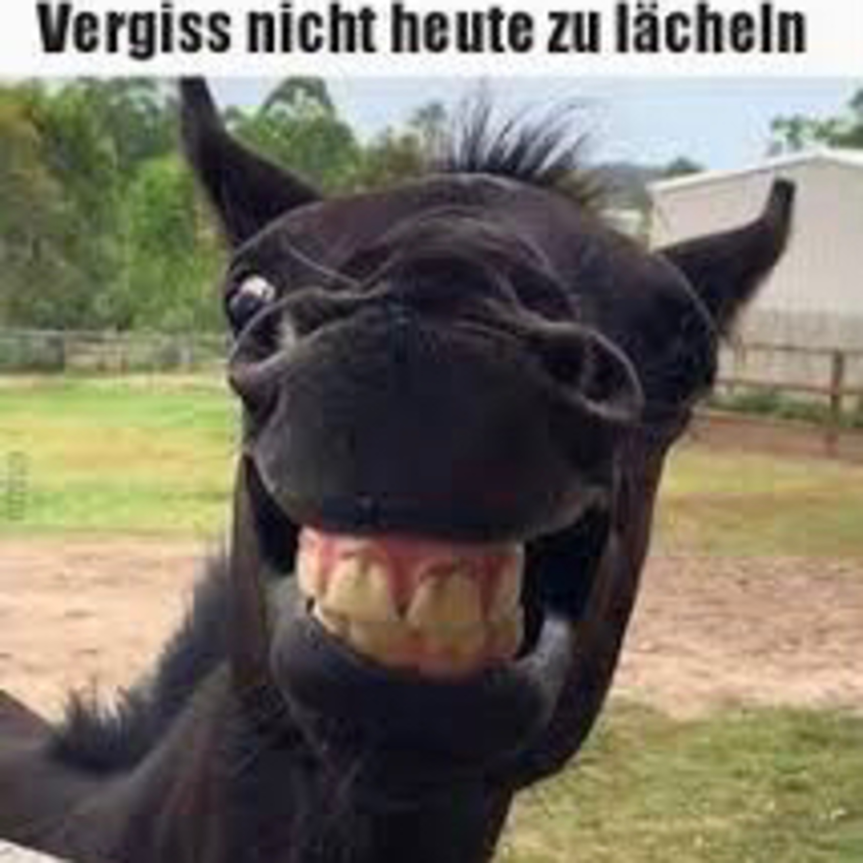 Meeries und eigentlich nicht 😂🤣 episode artwork