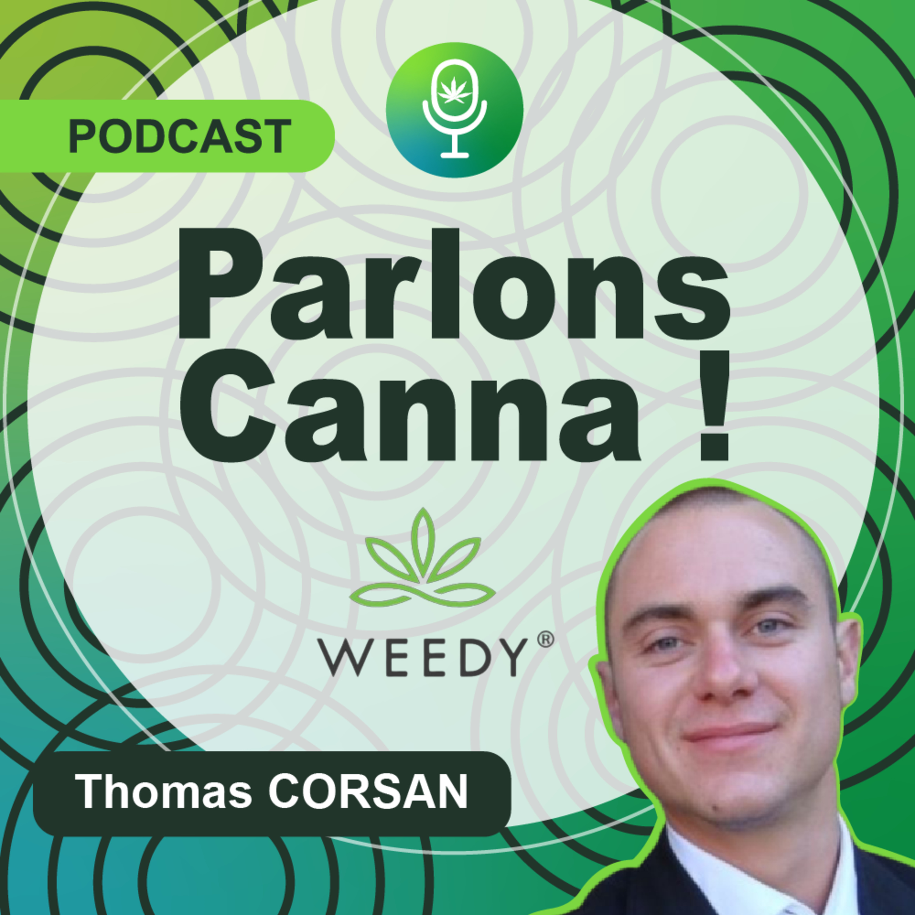 [#TEASER] La qualité au cœur de nos préoccupations - Thomas CORSAN - Directeur Général de Weedy.fr