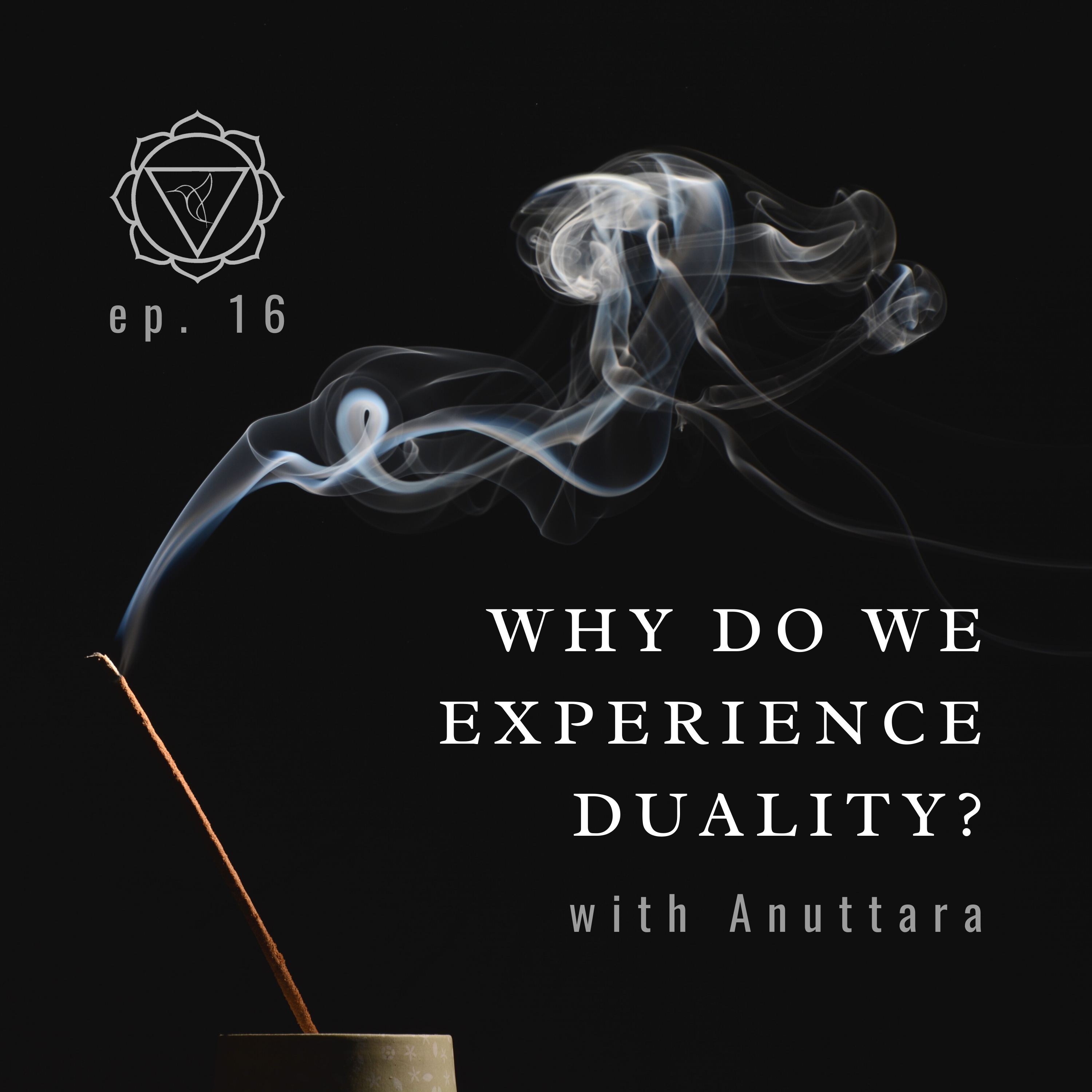 16: Why Do We Experience Duality? episode artwork