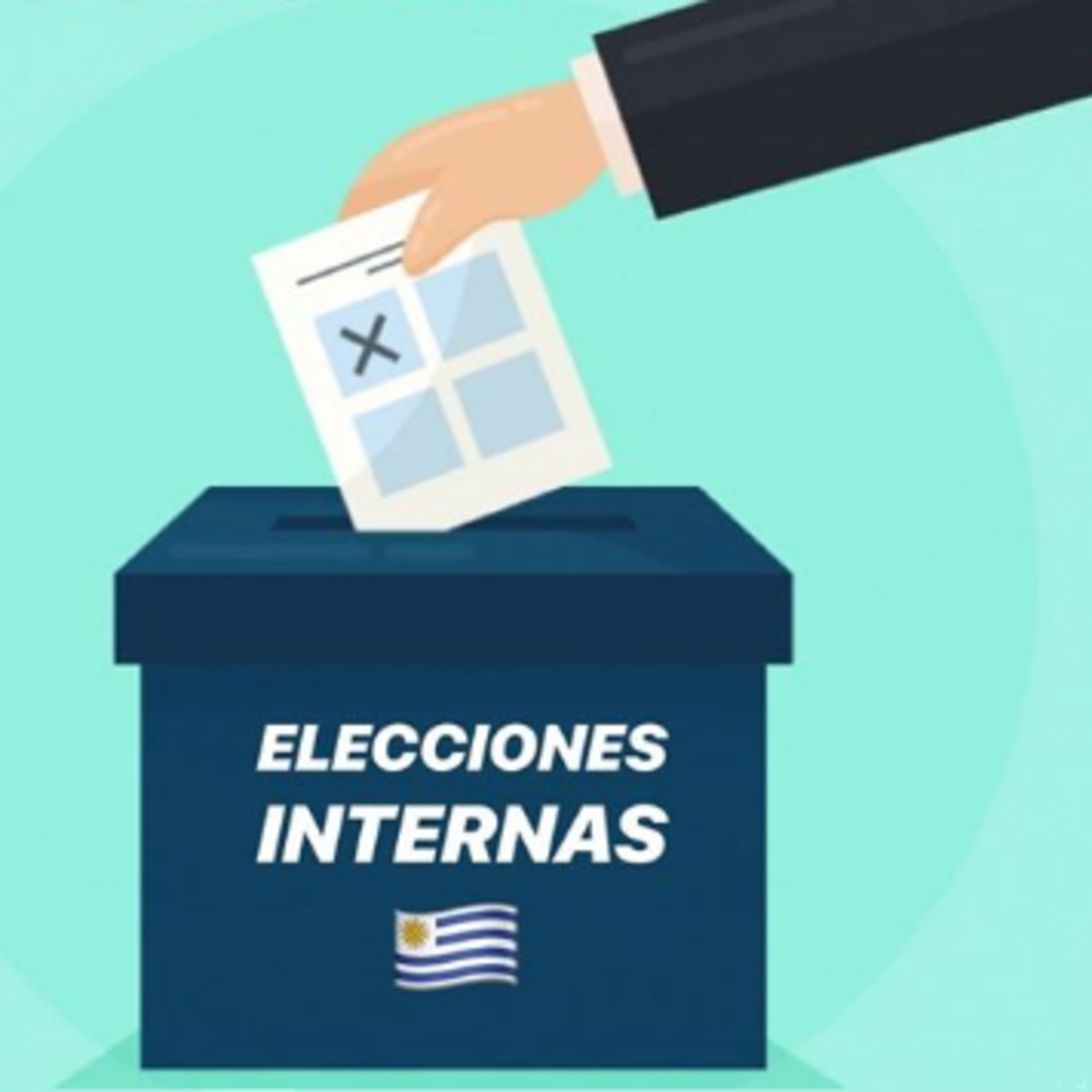Evacuá todas tus dudas sobre las elecciones internas de este domingo