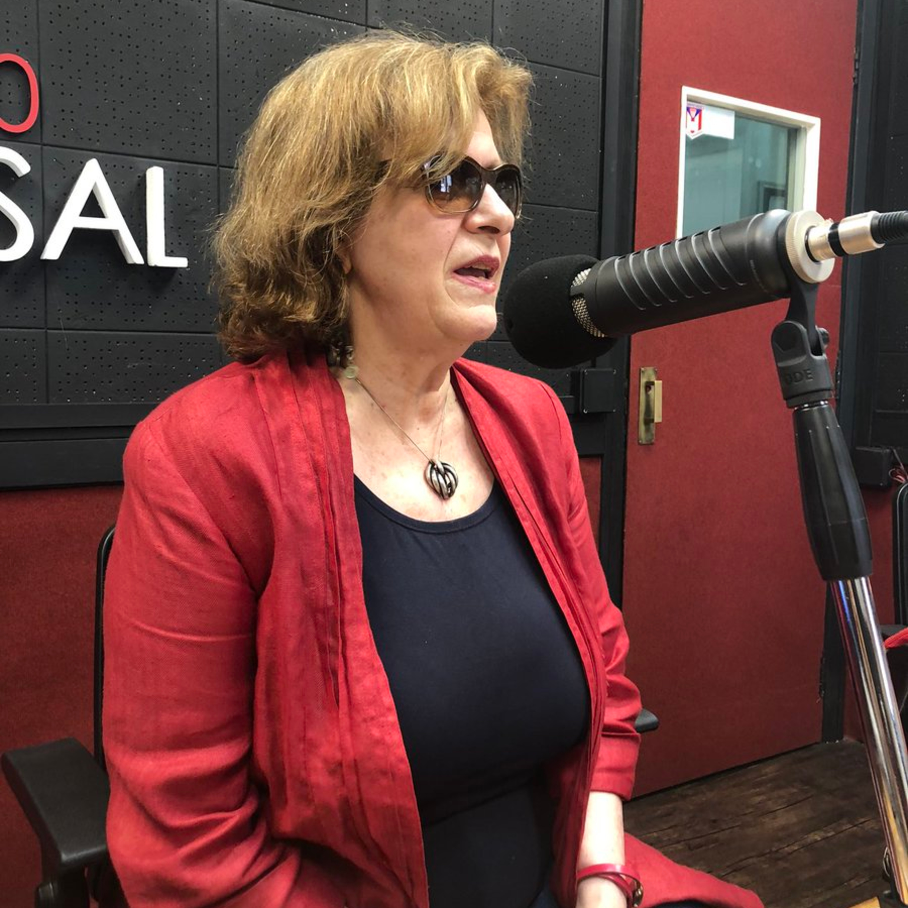 “El mar desde la orilla”: el contar sin contar de Alicia Migdal episode artwork