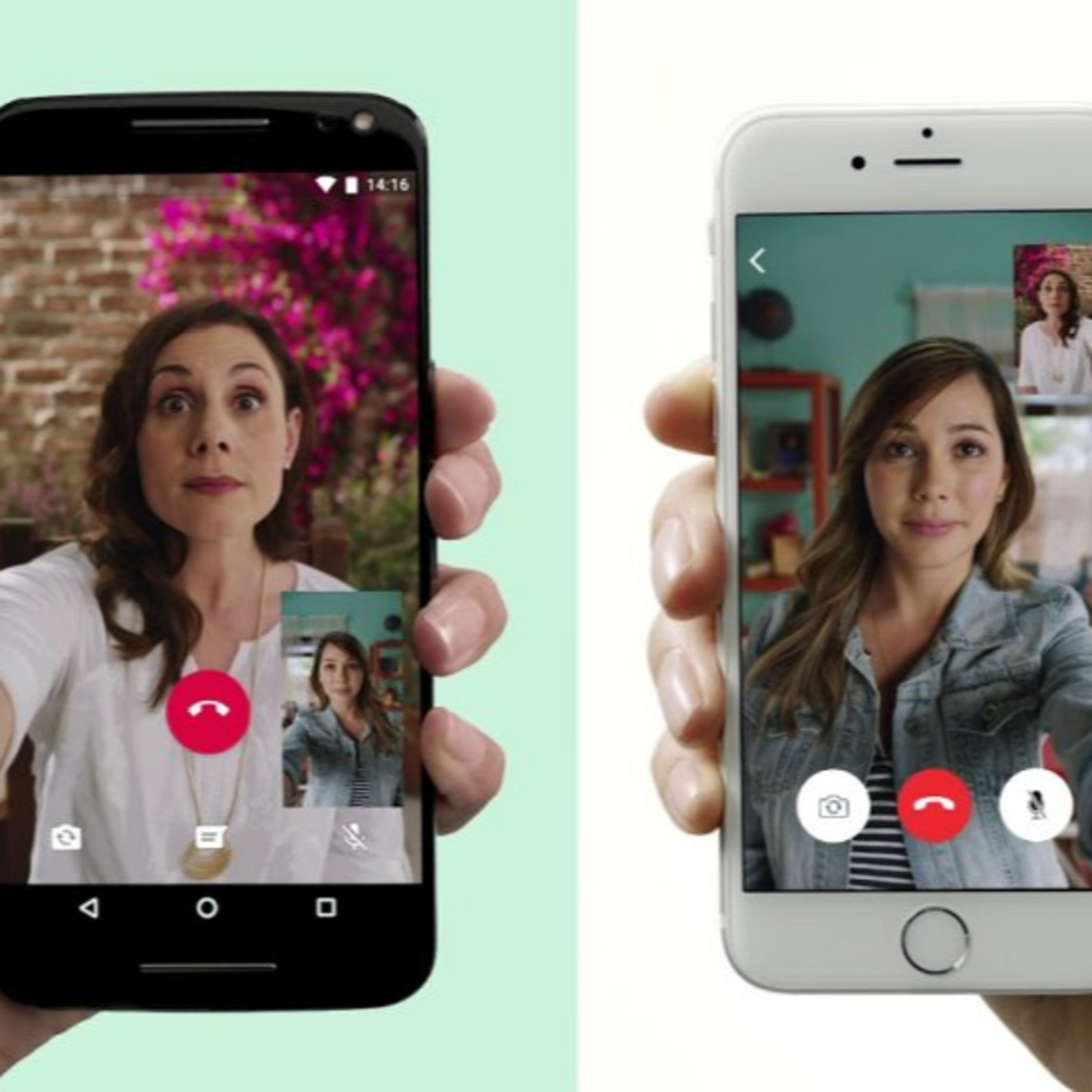Hasta las anguilas tienen videollamadas: sobre el ser humano y el agotamiento de las redes sociales en cuarentena episode artwork