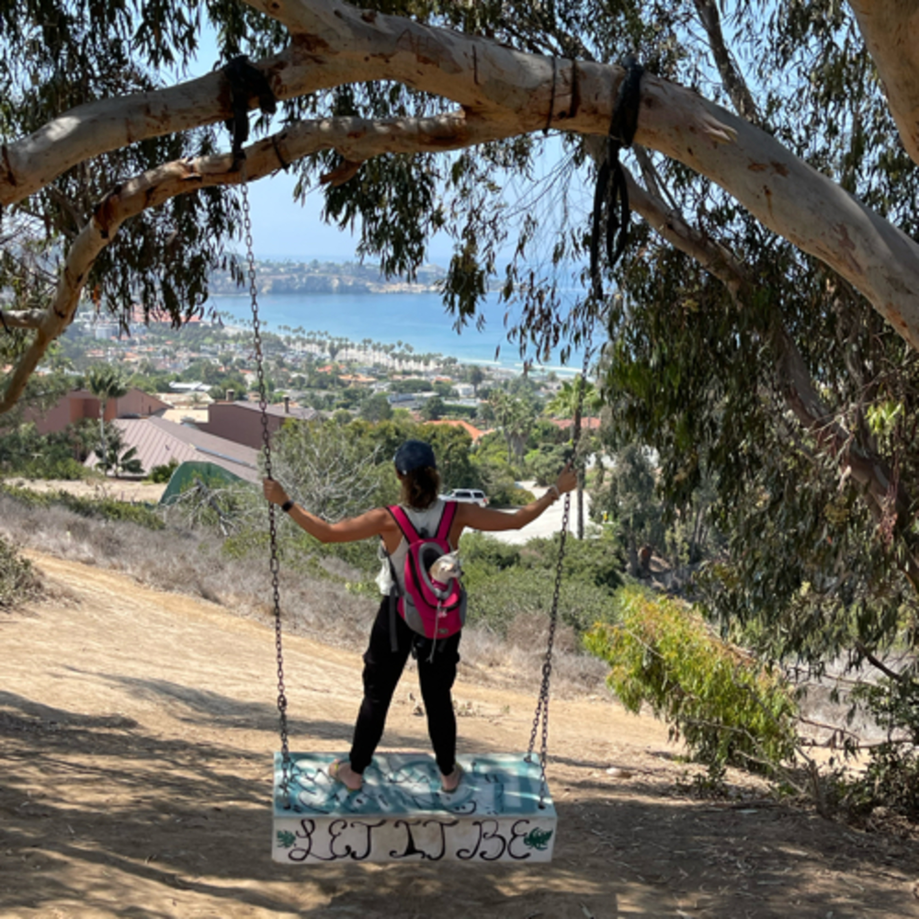 The Balancing Act