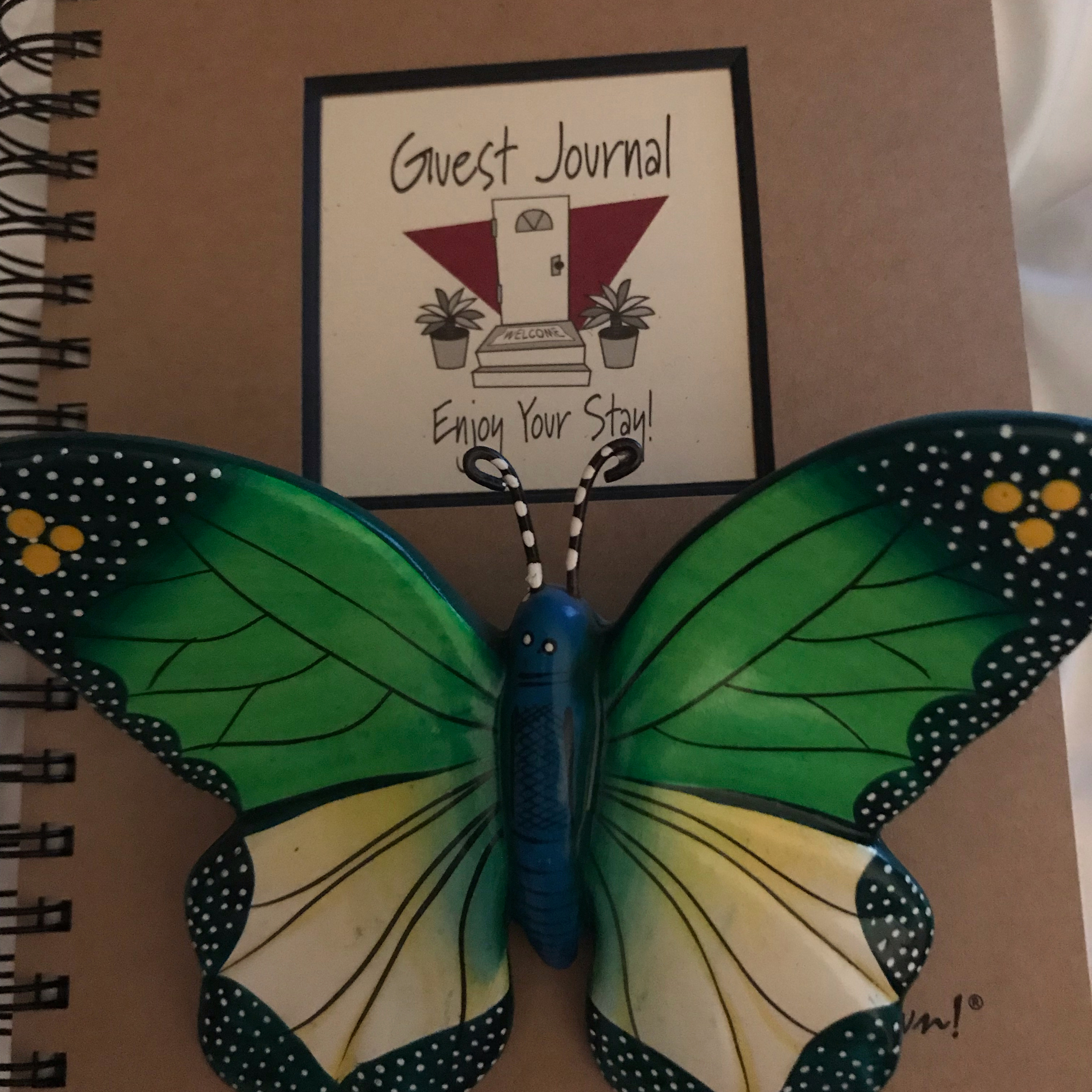 🌸🌼Under the stars ⭐️ at my Cozy Casita & Chapter 3 “When We see the butterflies “🦋🦋💙❌⭕️🌼🌸 episode artwork