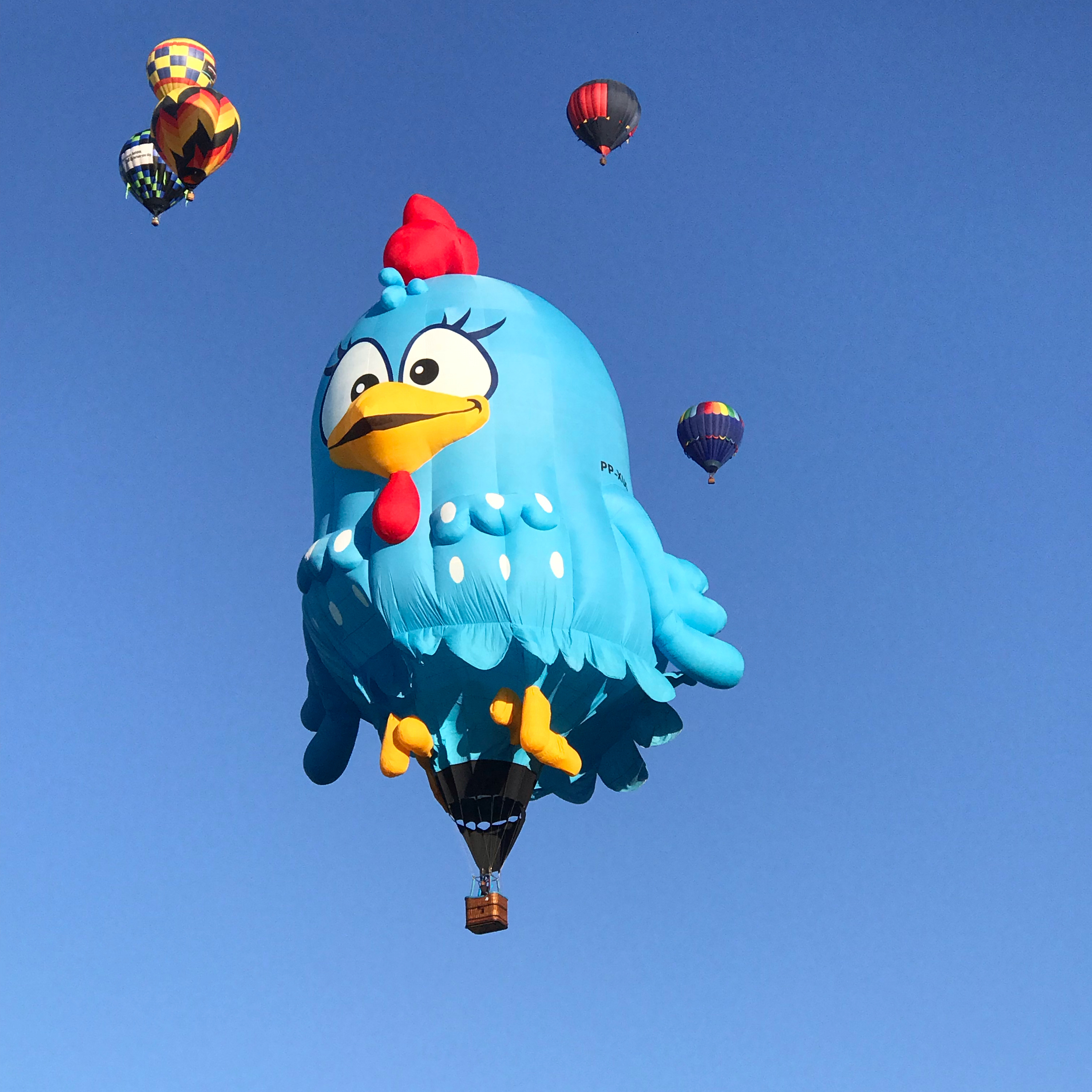 🌸💕Live from Balloon park worlds International Balloon Fiesta w Sundance Balloon crew🌸💕