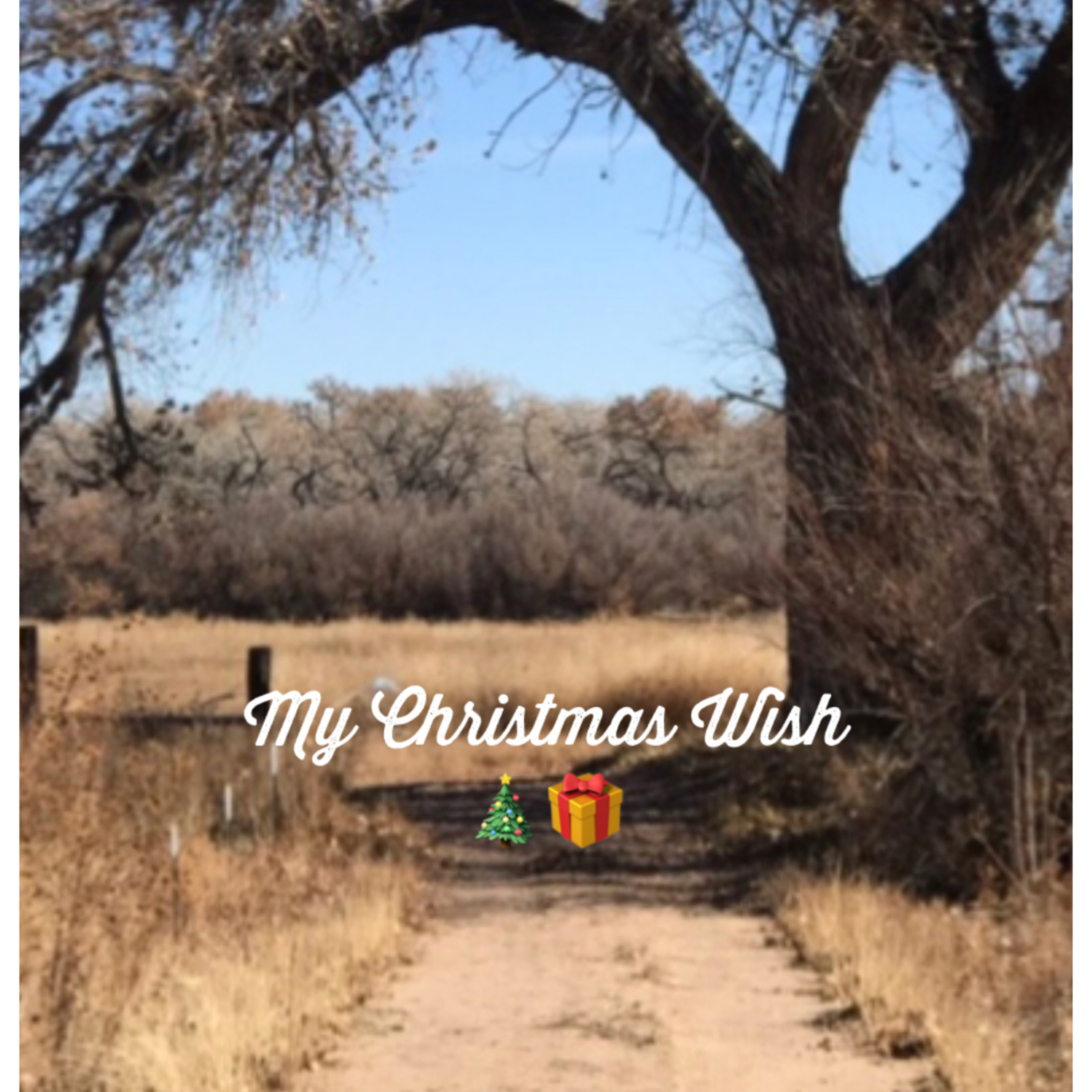 🎄🎁My Christmas Wish🎄🎁 episode artwork