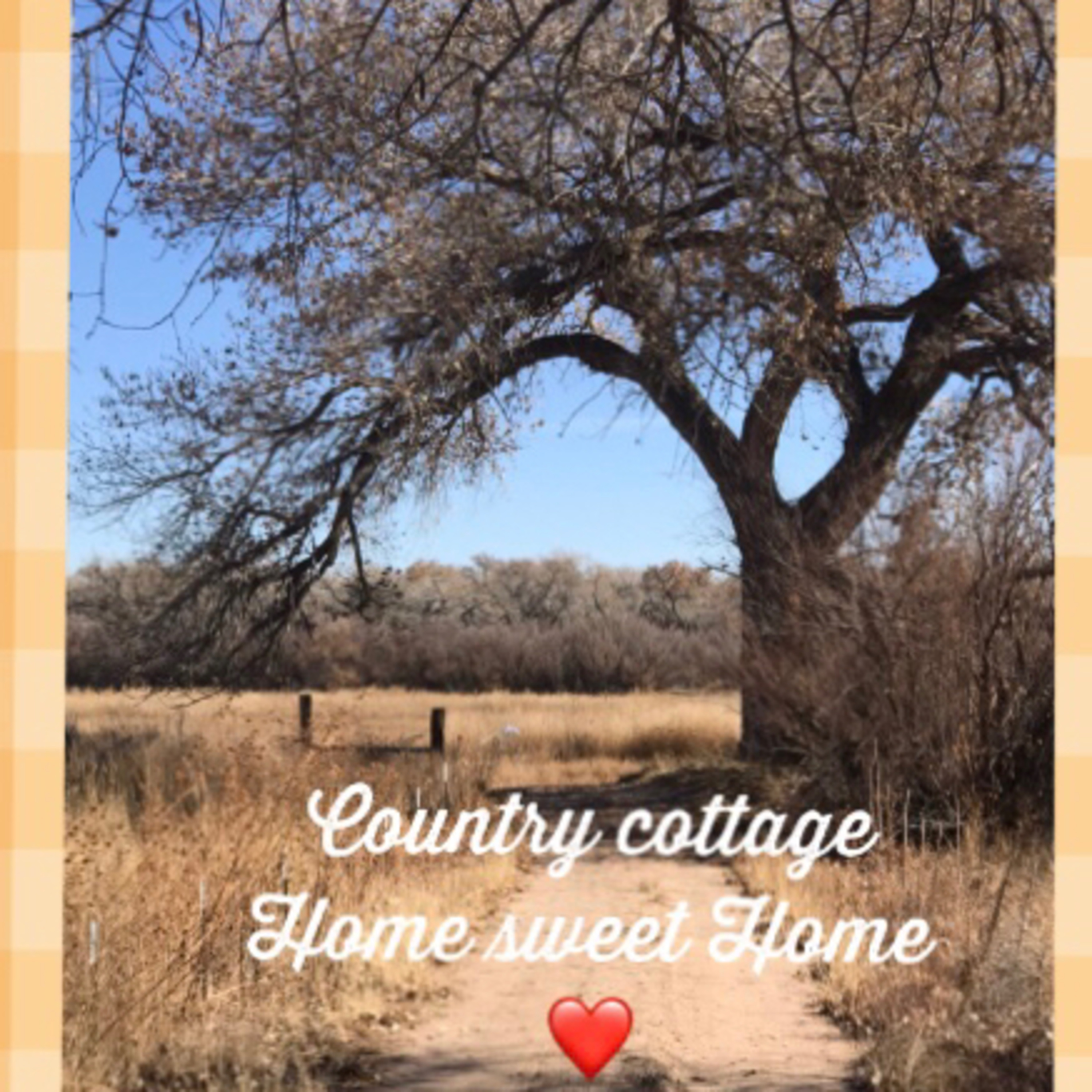 🌹🌹☕️Coffee & my new Country Cottage saying goodbye 2019!🌹🌹☕️ episode artwork
