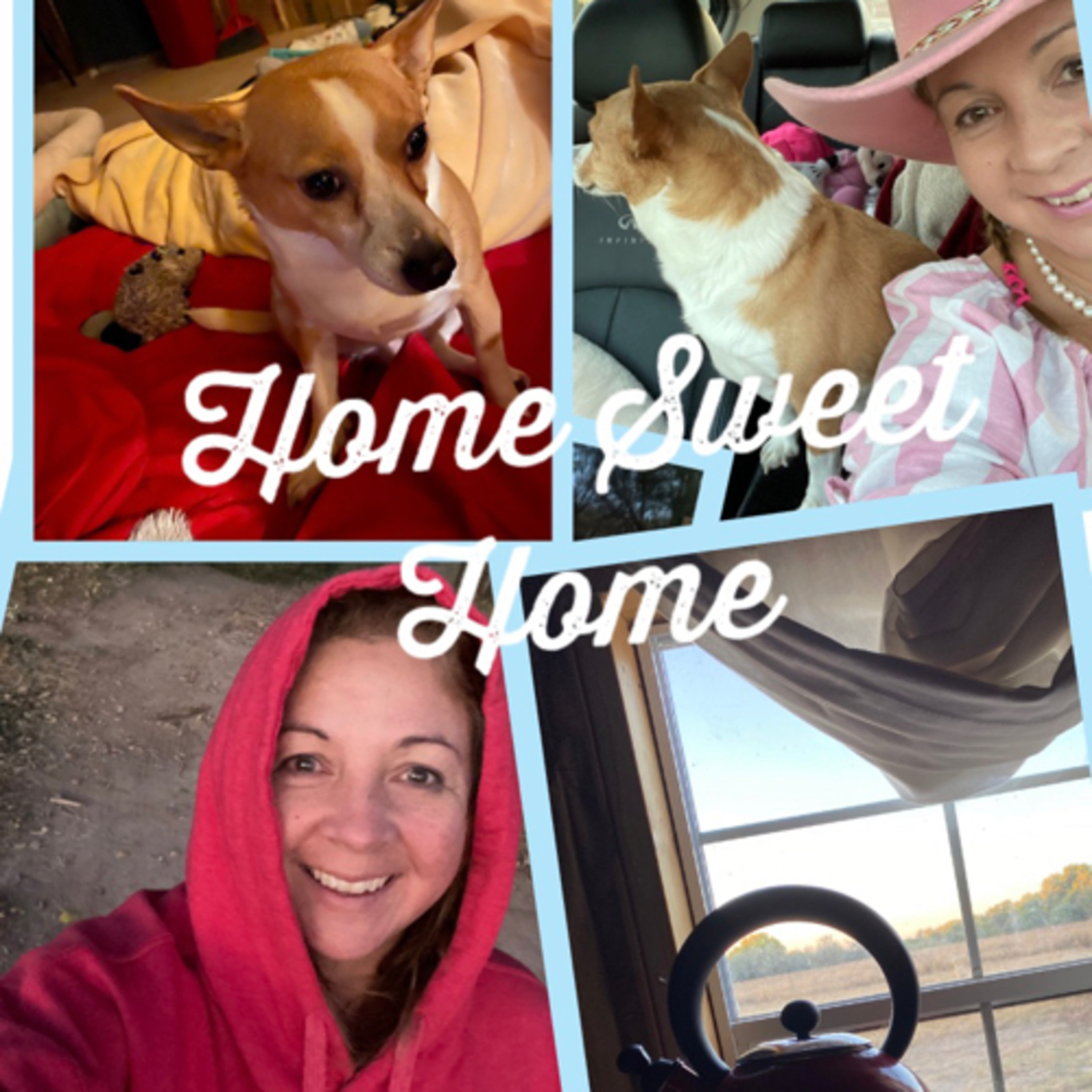 🏠Home Sweet 💕🦌Home:🦋 episode artwork
