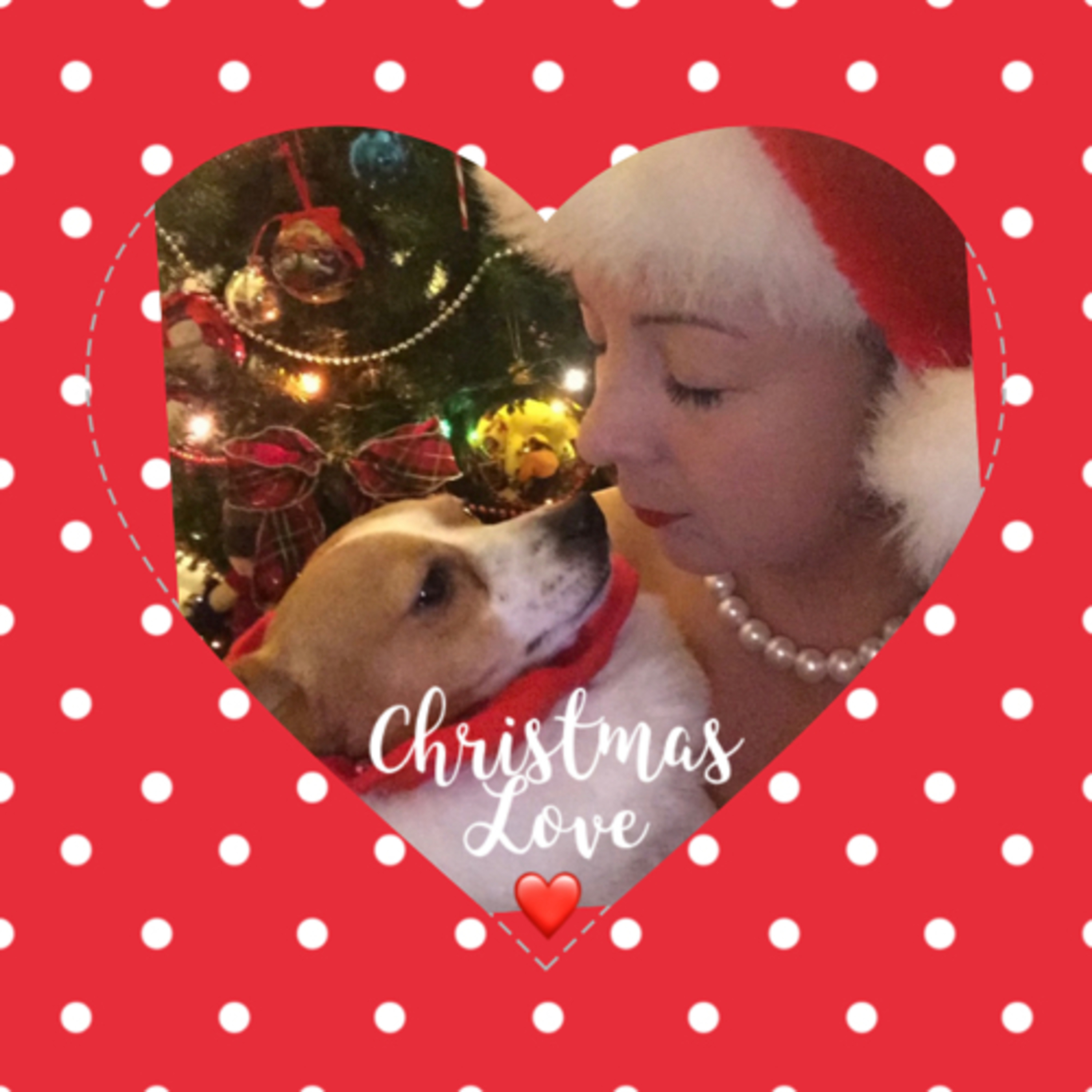 🎄🎁Christmas ❤️Love❤️🎄🎁 episode artwork