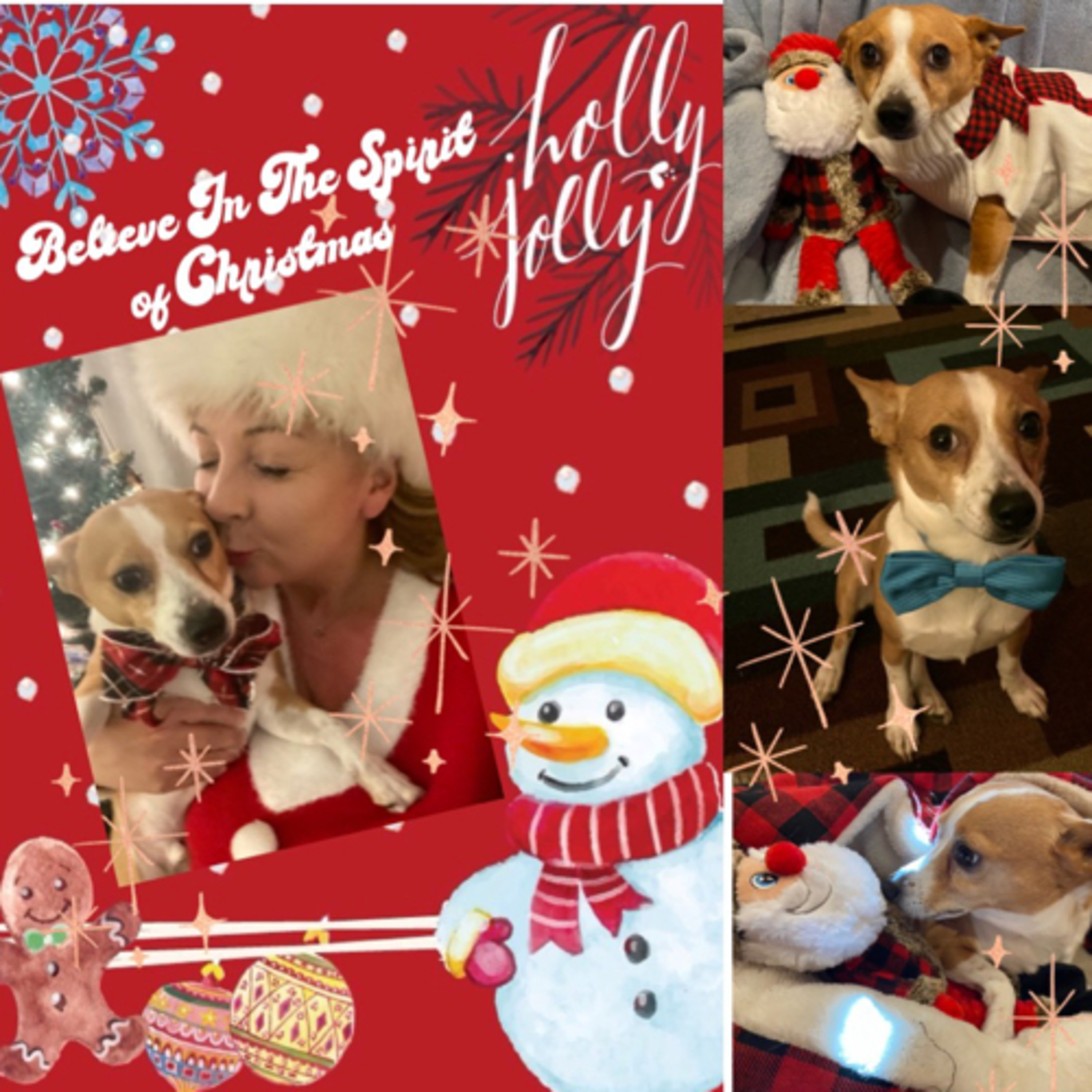 🎄❄️Believe in the Spirit of Christmas 🎄 ✨☕️❄️