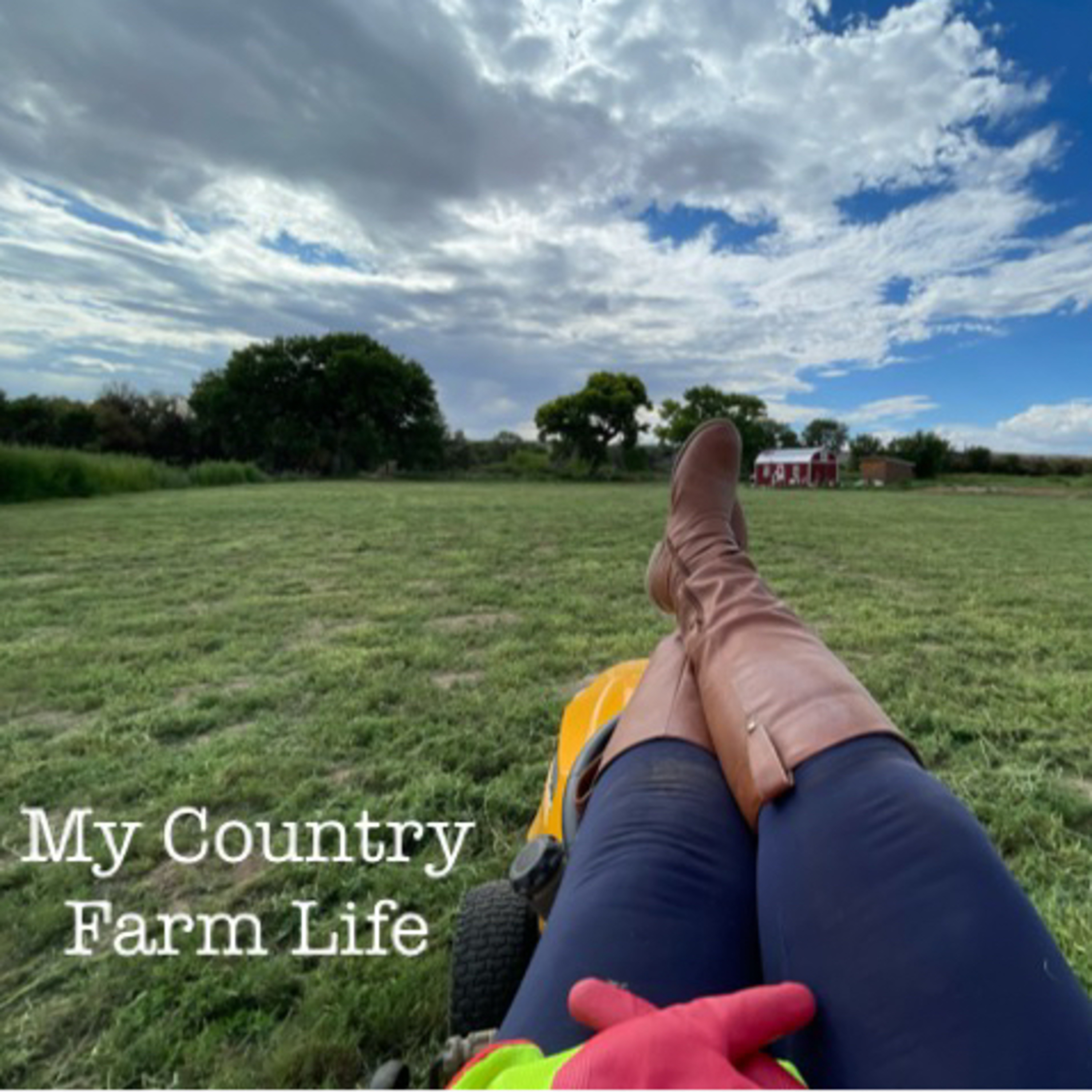 💕🚜 🌳 My Country Farm Life🌳🚜💕