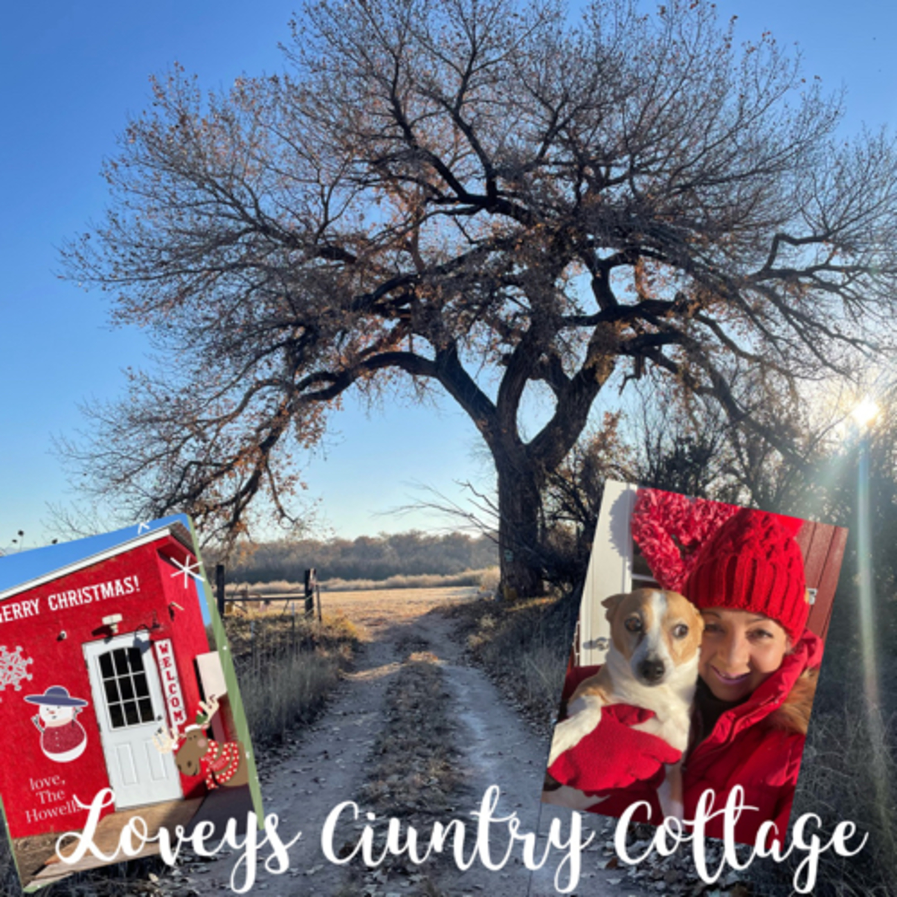 🎄🦌Loveys Country Cottage🦌☃️🎄🎊