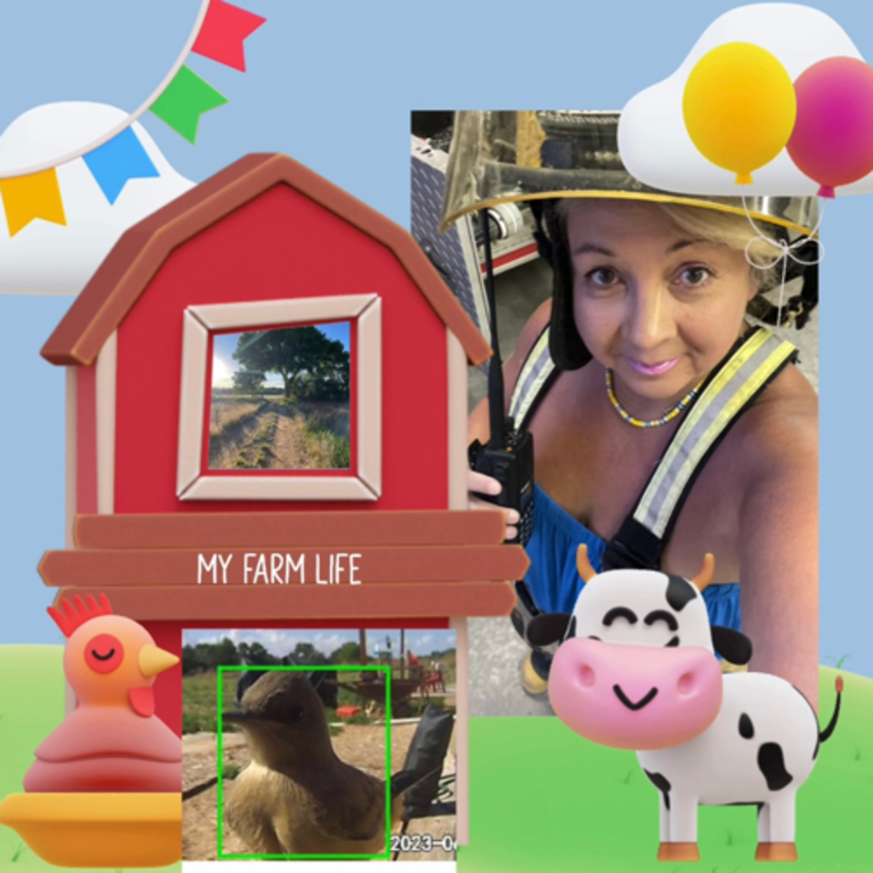 🐮 💕Farm Life 🚜 🐖 episode artwork