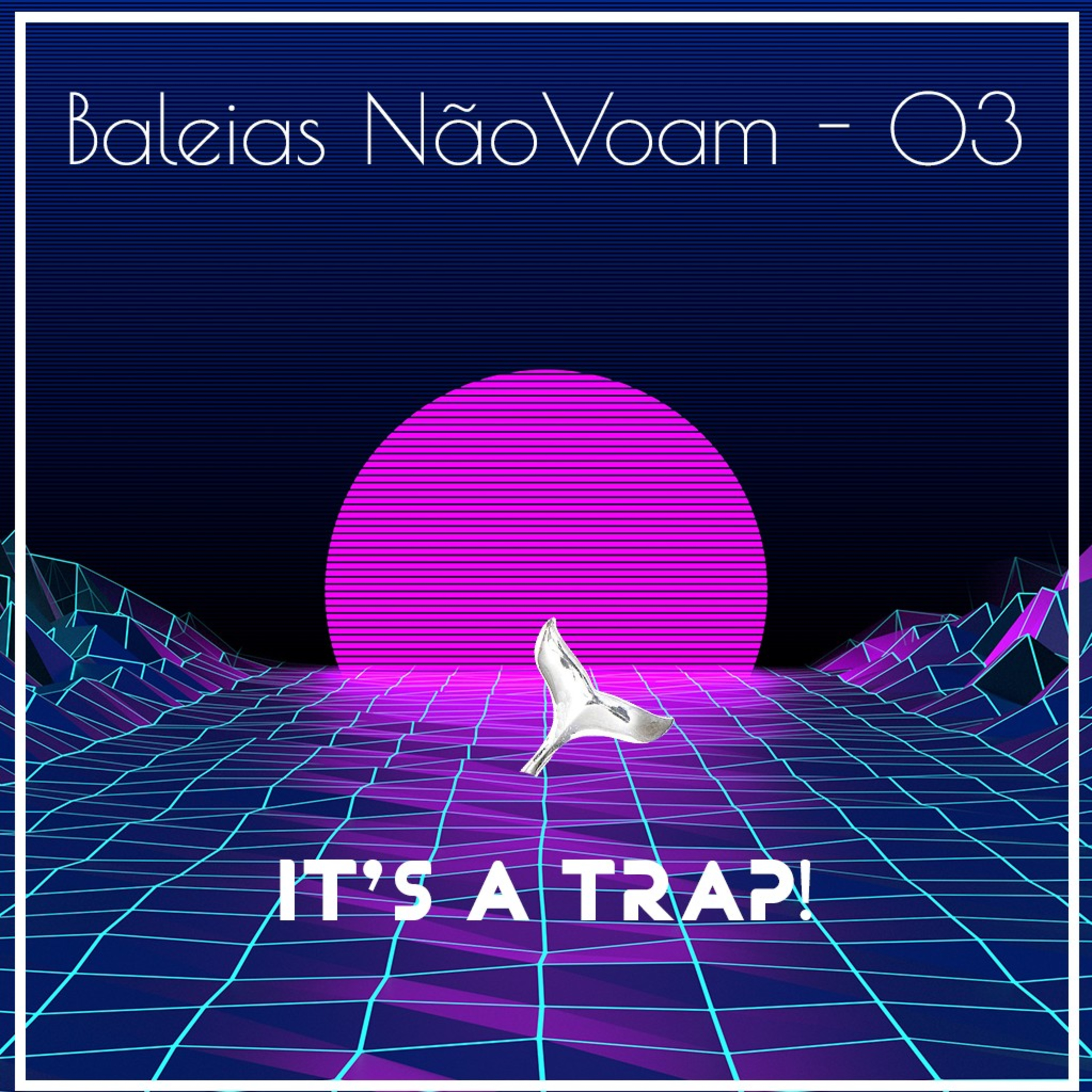 Baleias não Voam