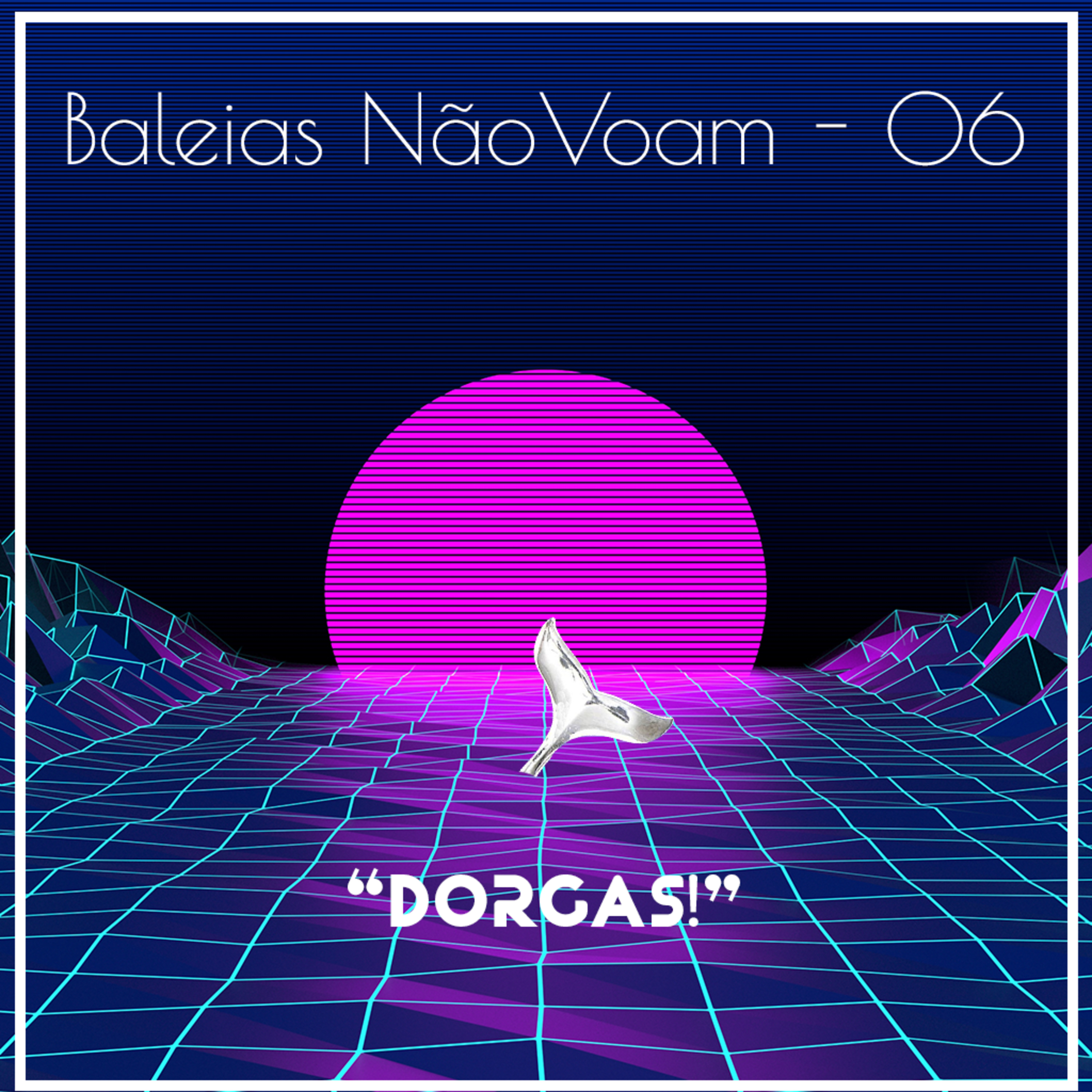 Baleias não Voam
