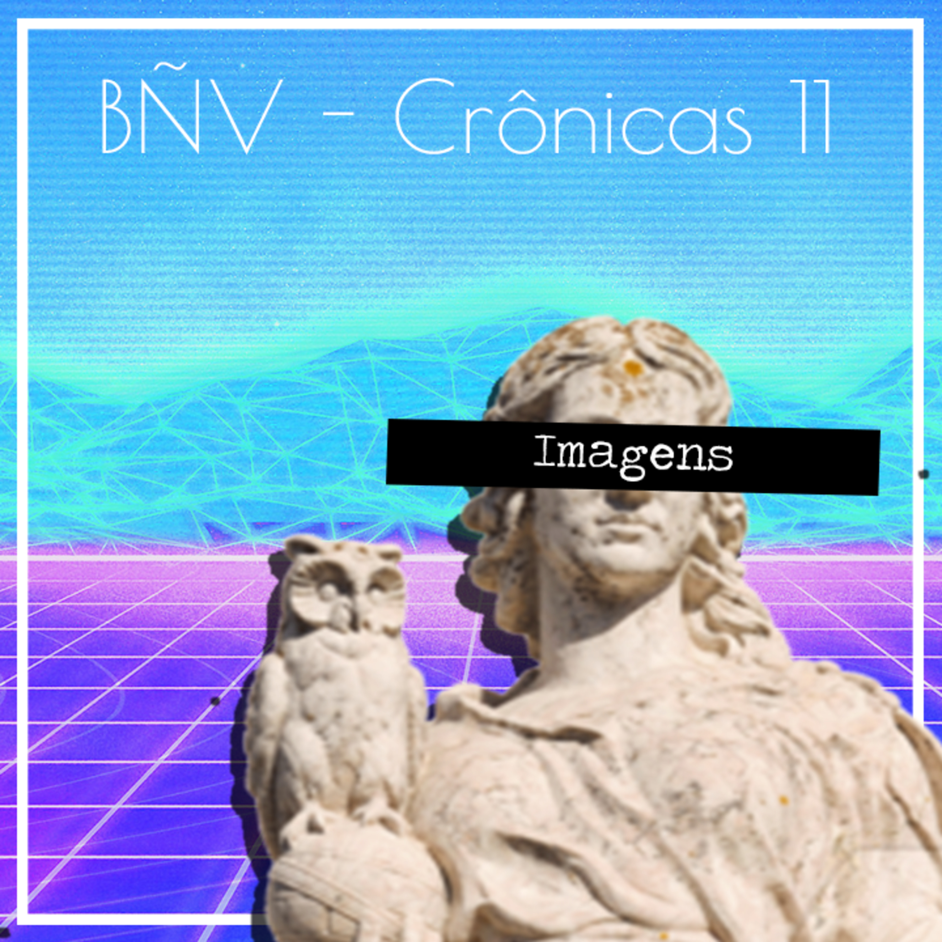 Baleias não Voam