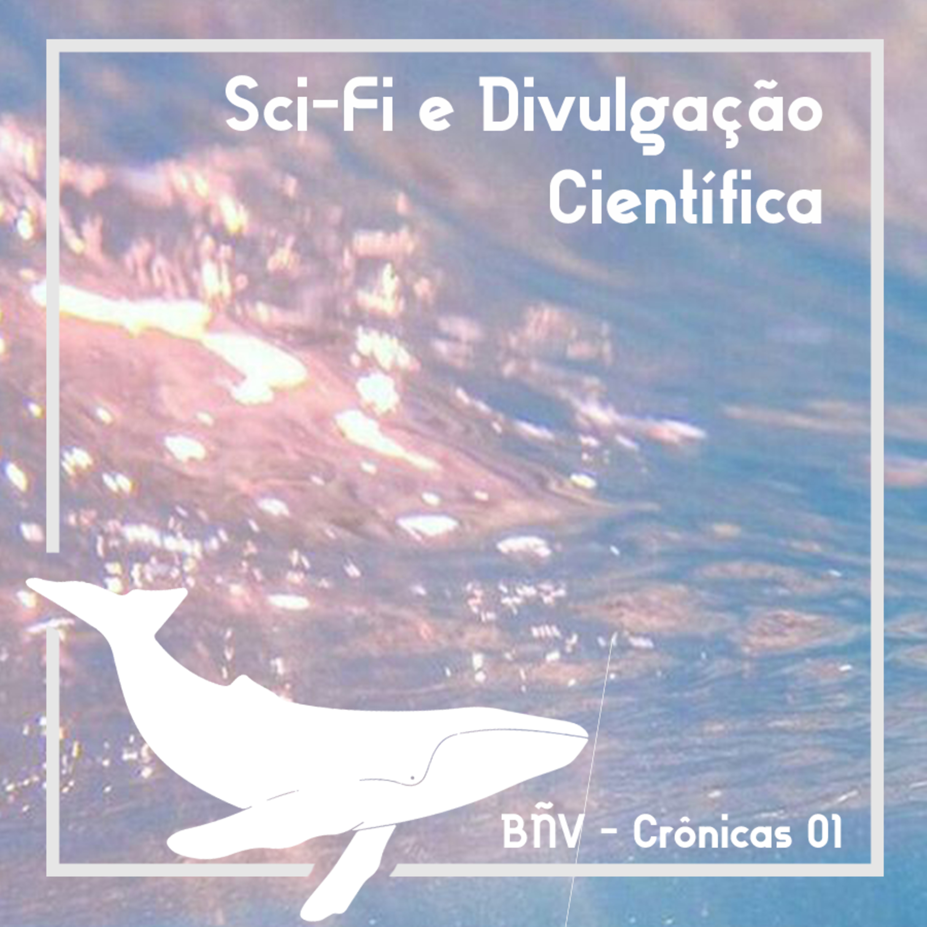Baleias não Voam