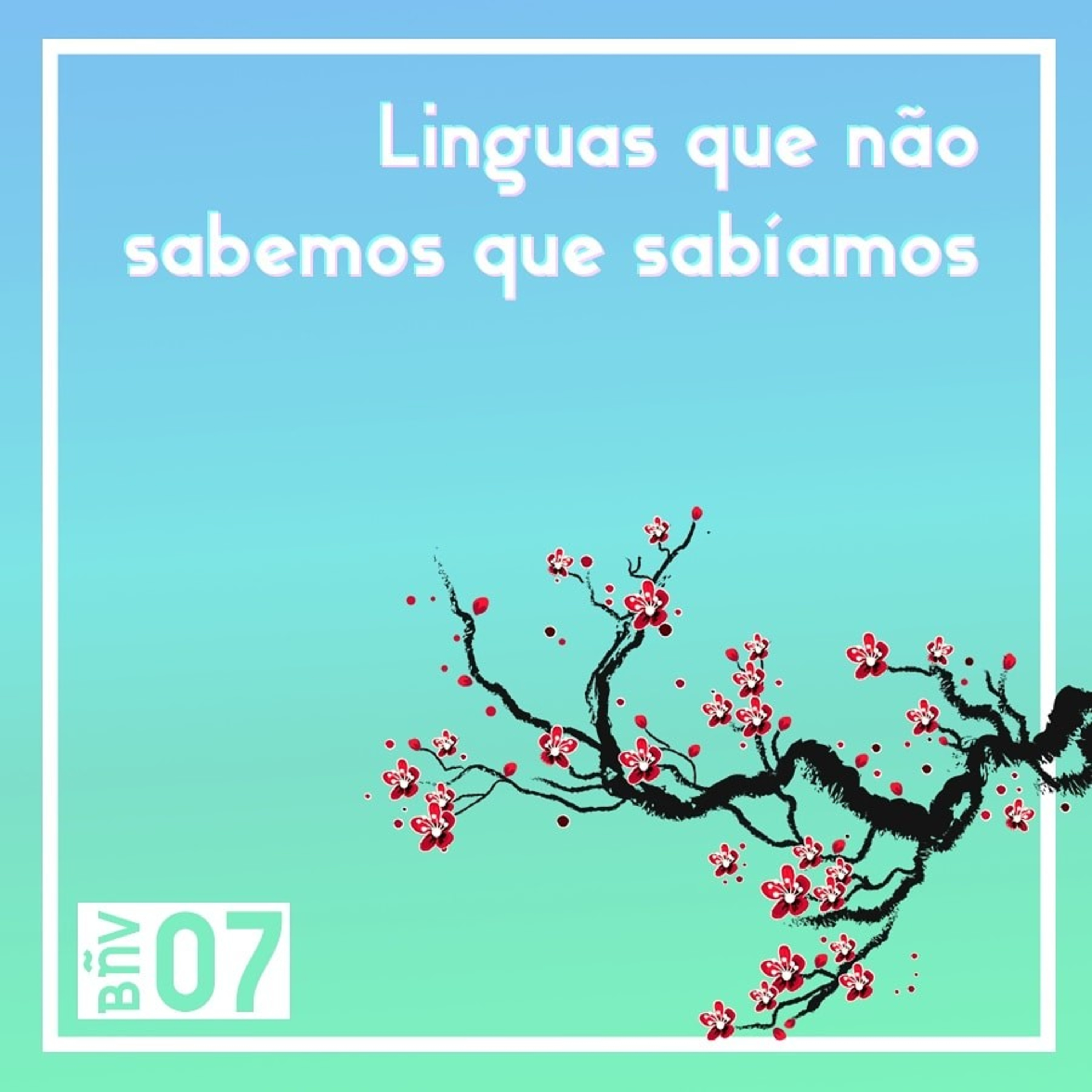 Baleias não Voam