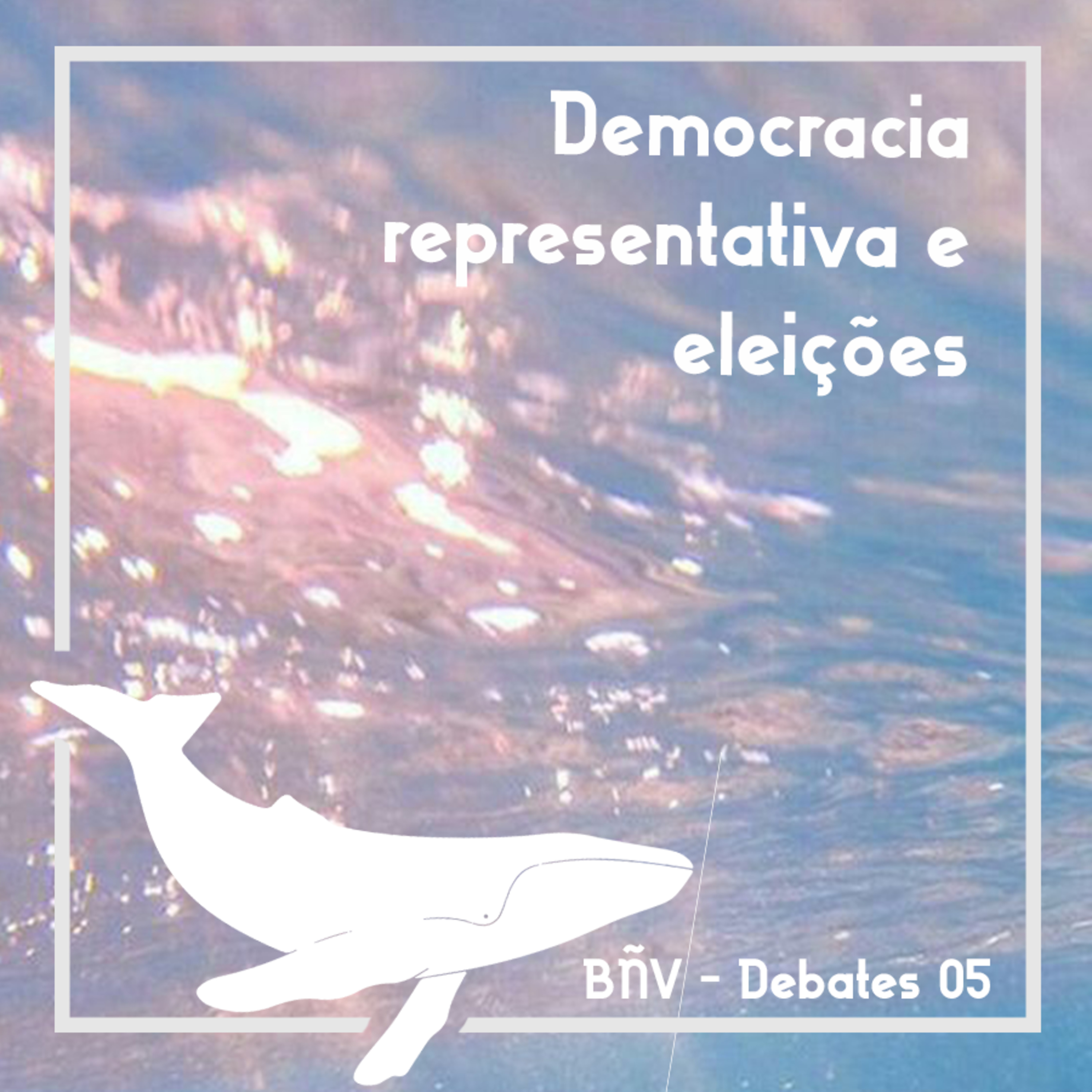 Baleias não Voam