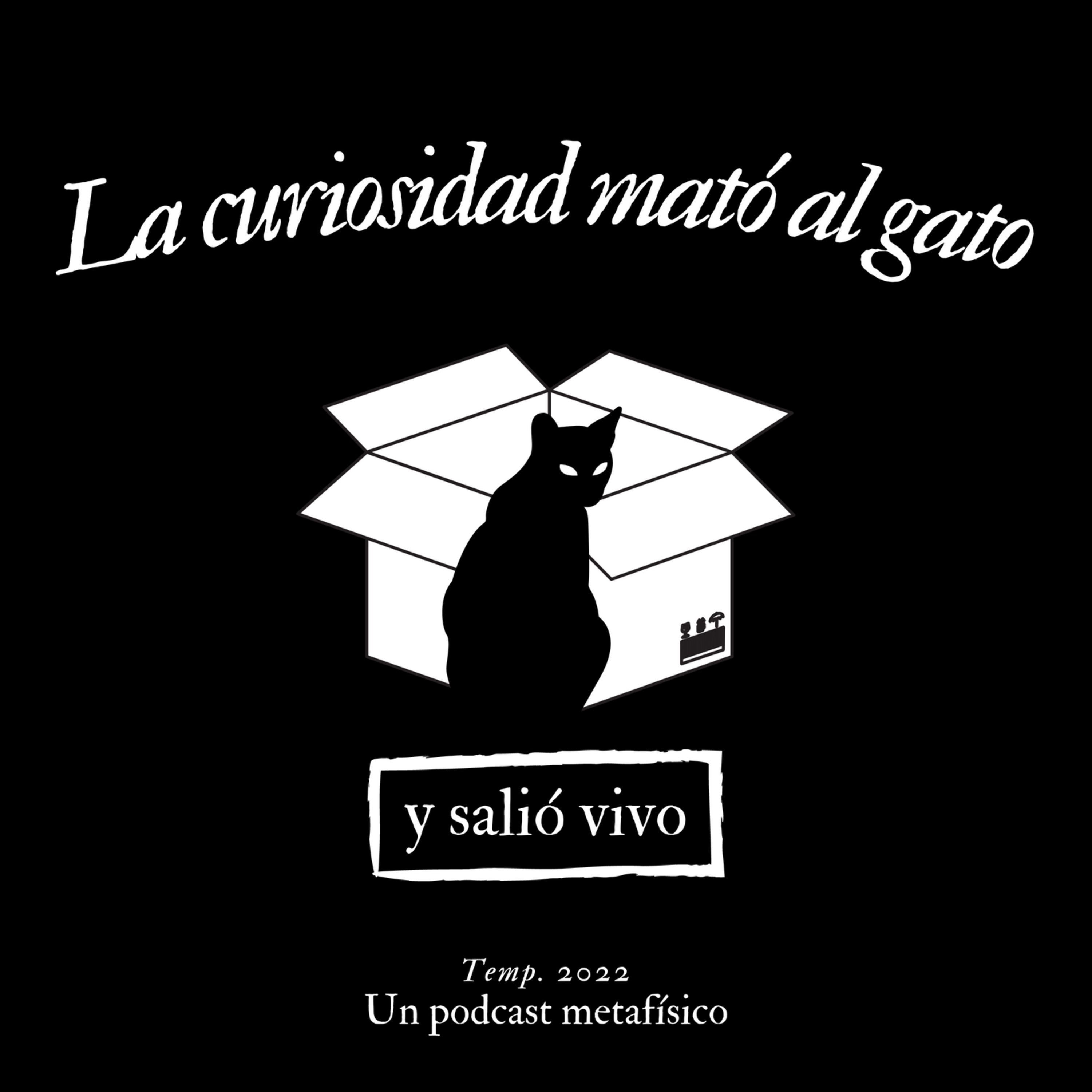 La curiosidad mato al gato y salió vivo