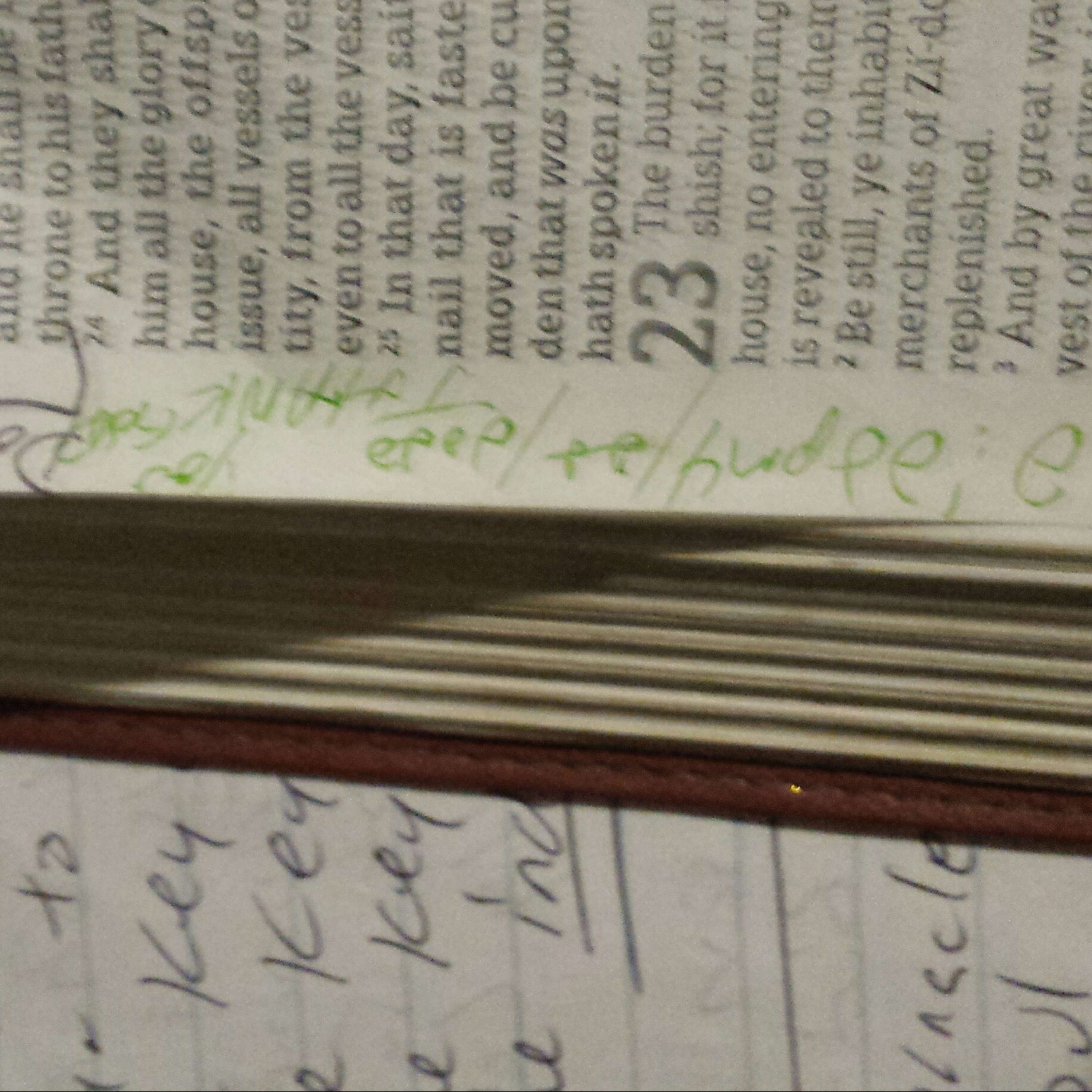 Navigating The Rabbit Hole