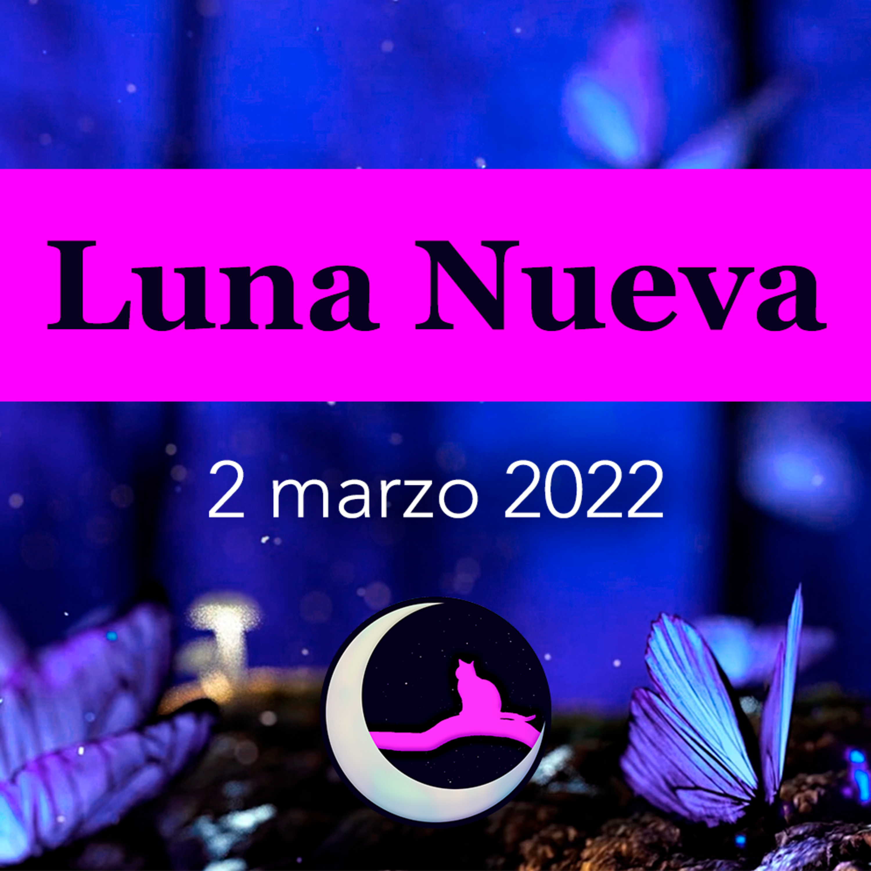 Energías del universo Tarot