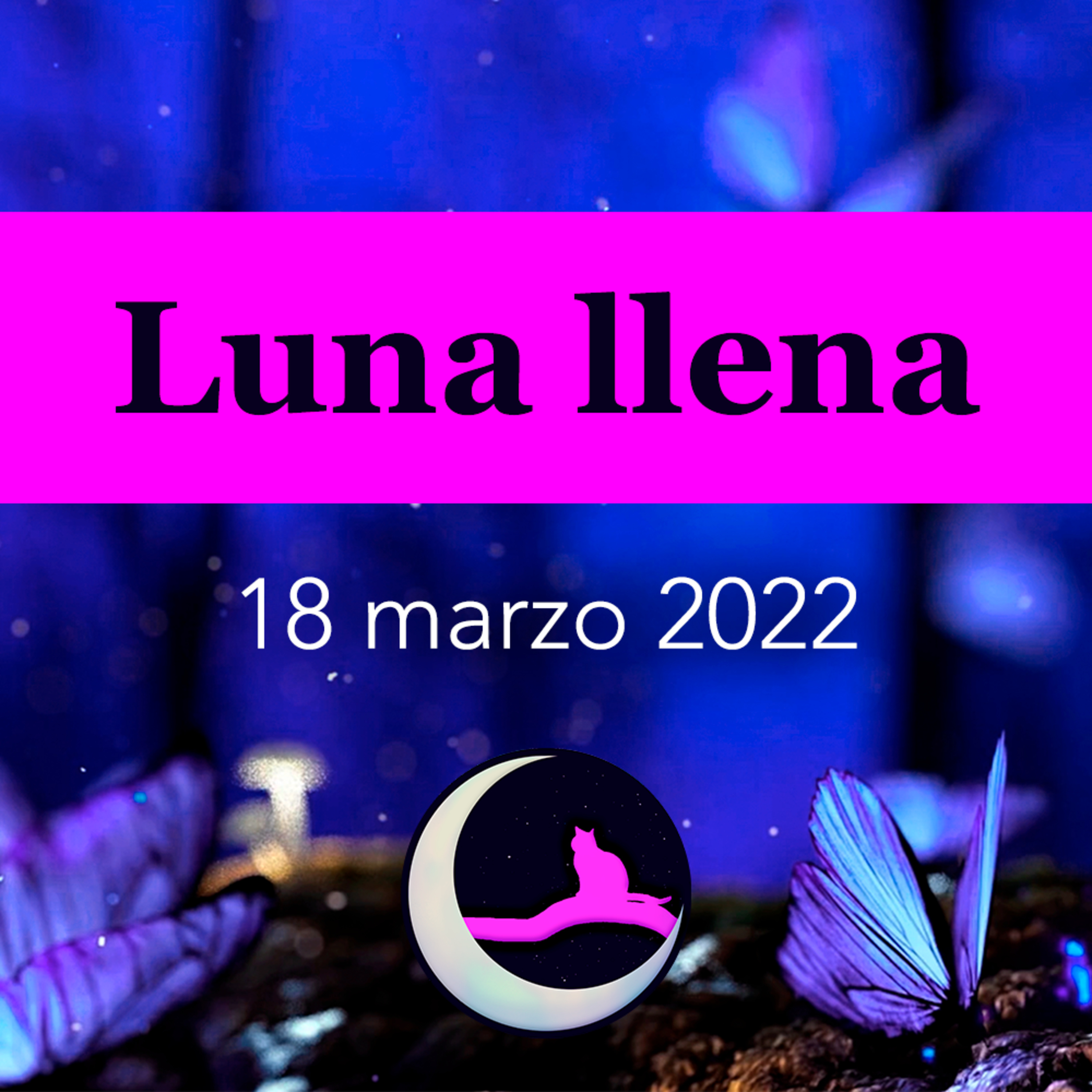 Energías del universo Tarot