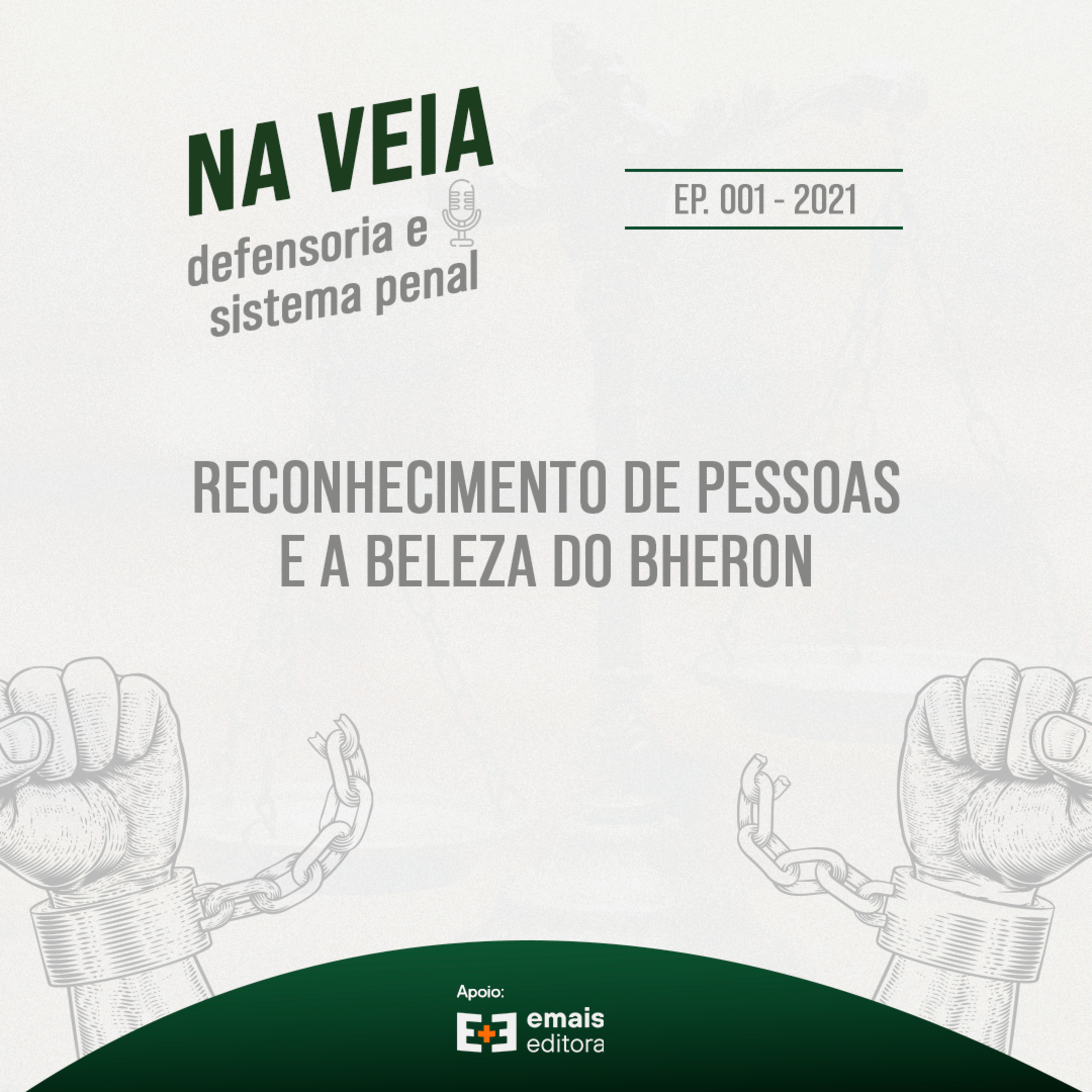 Na Veia - defensoria e sistema penal