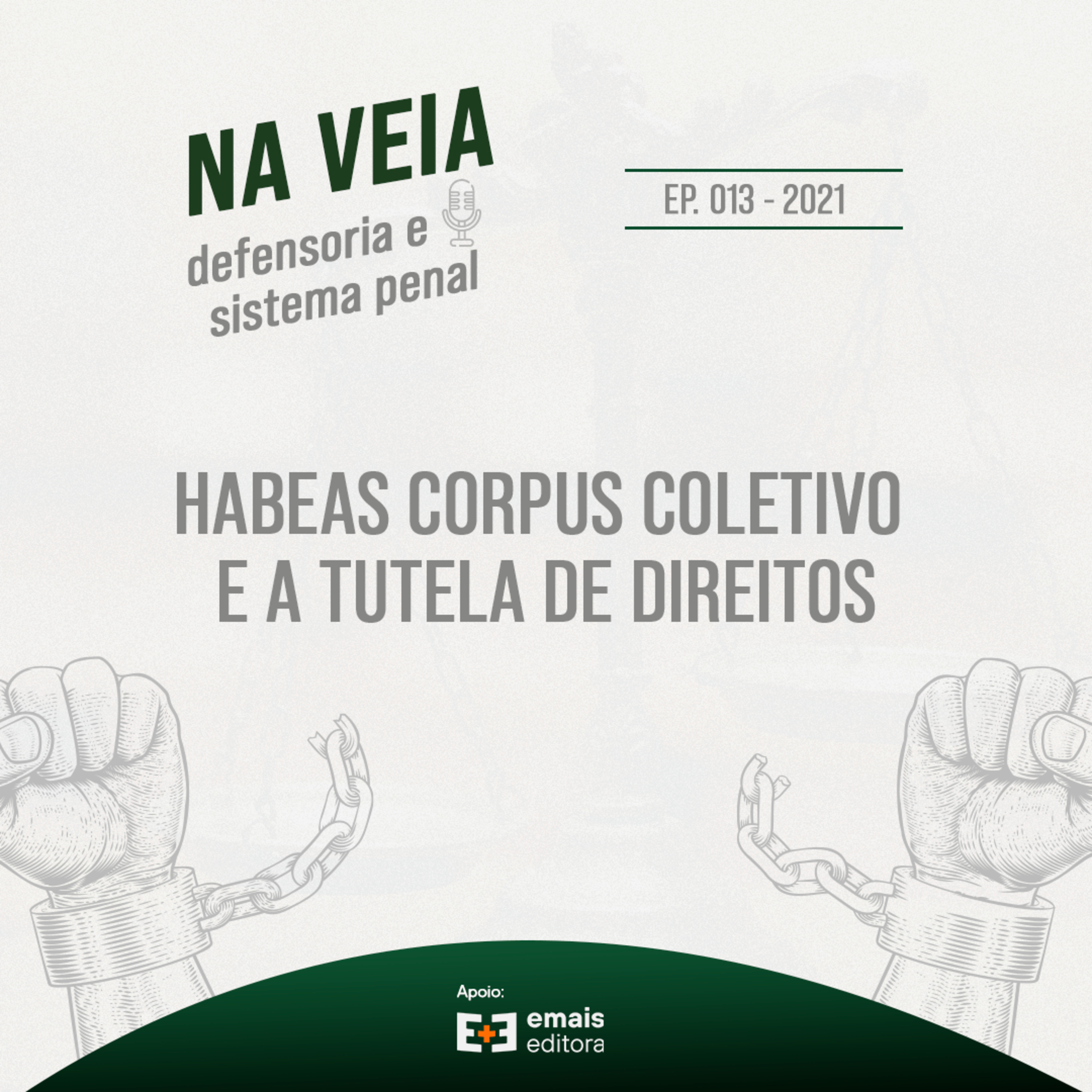 Na Veia - defensoria e sistema penal