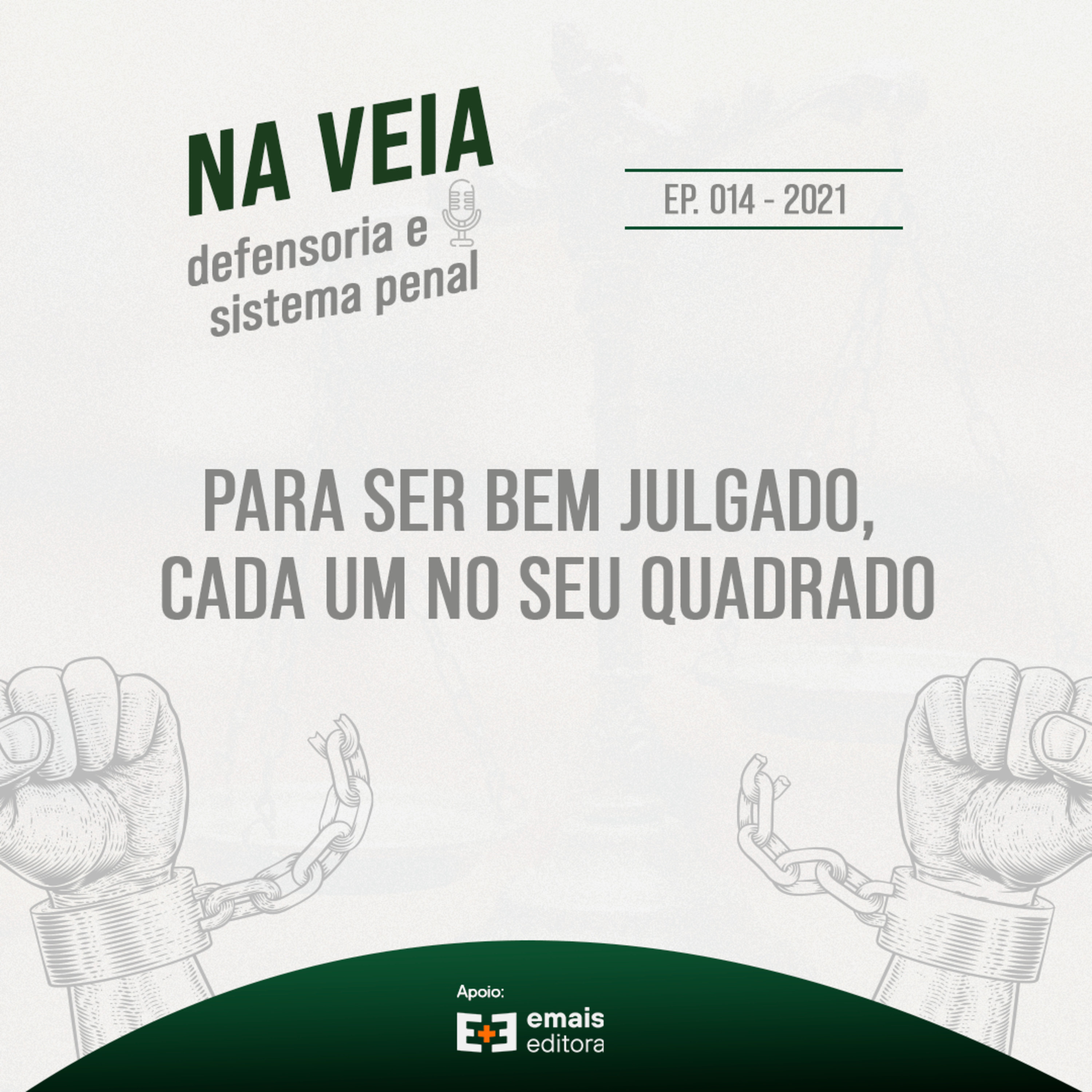 Na Veia - defensoria e sistema penal