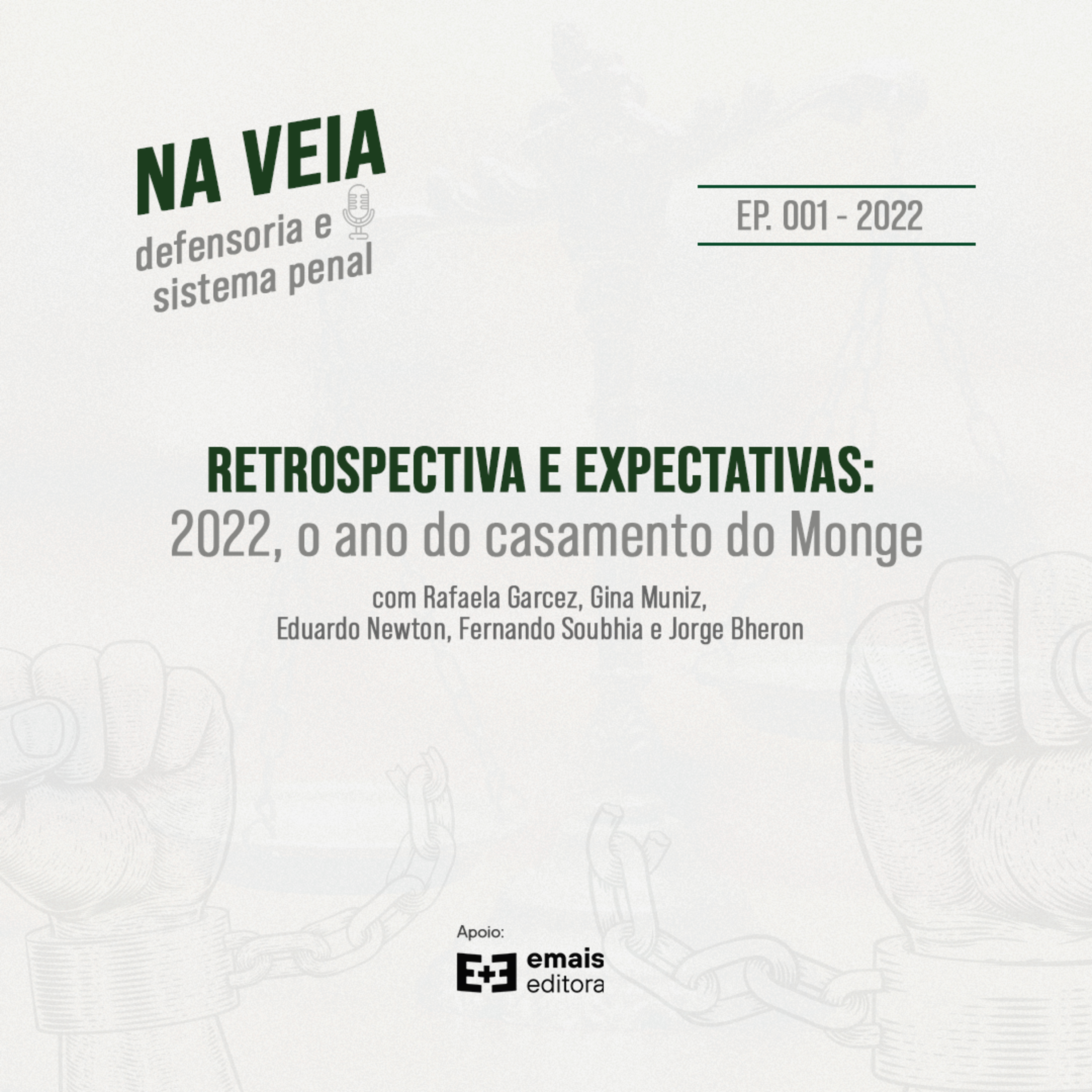Na Veia - defensoria e sistema penal