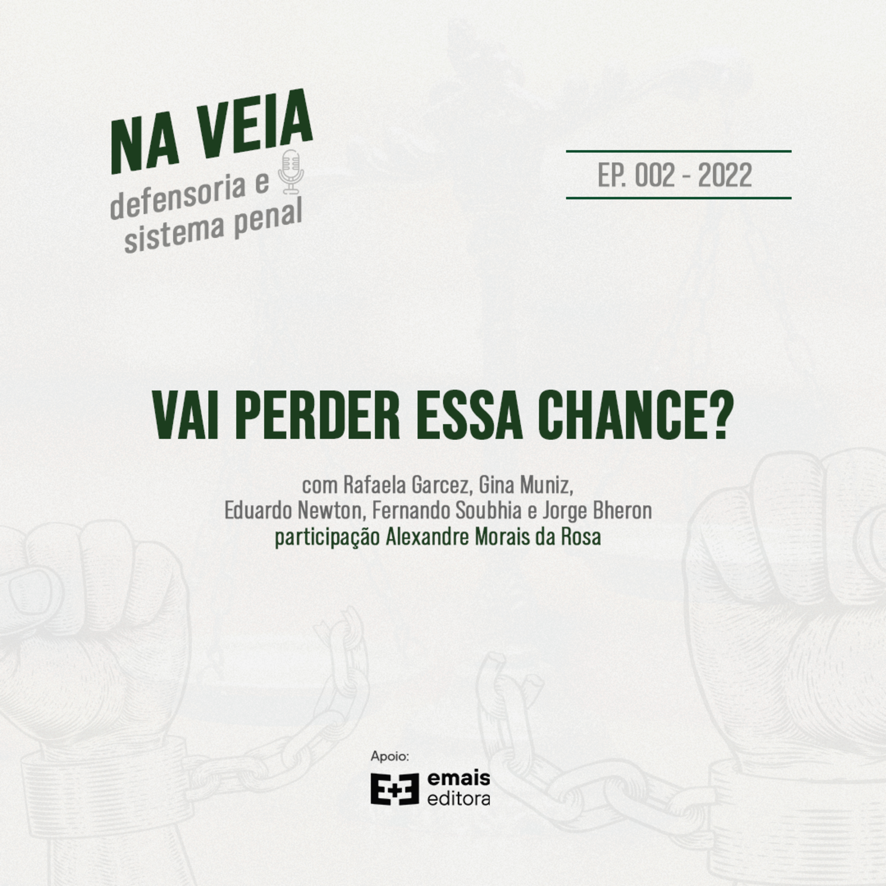 Na Veia - defensoria e sistema penal