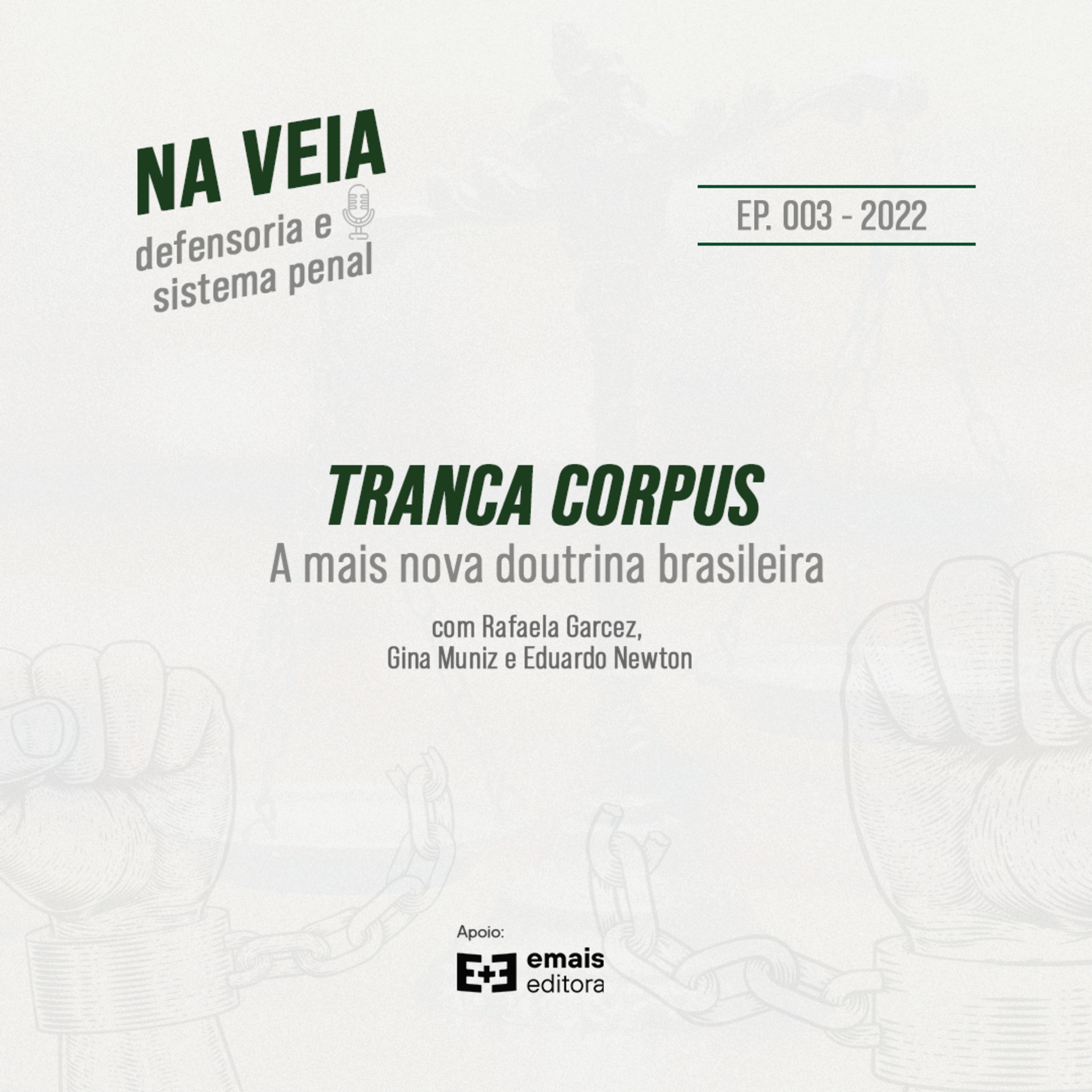 Na Veia - defensoria e sistema penal