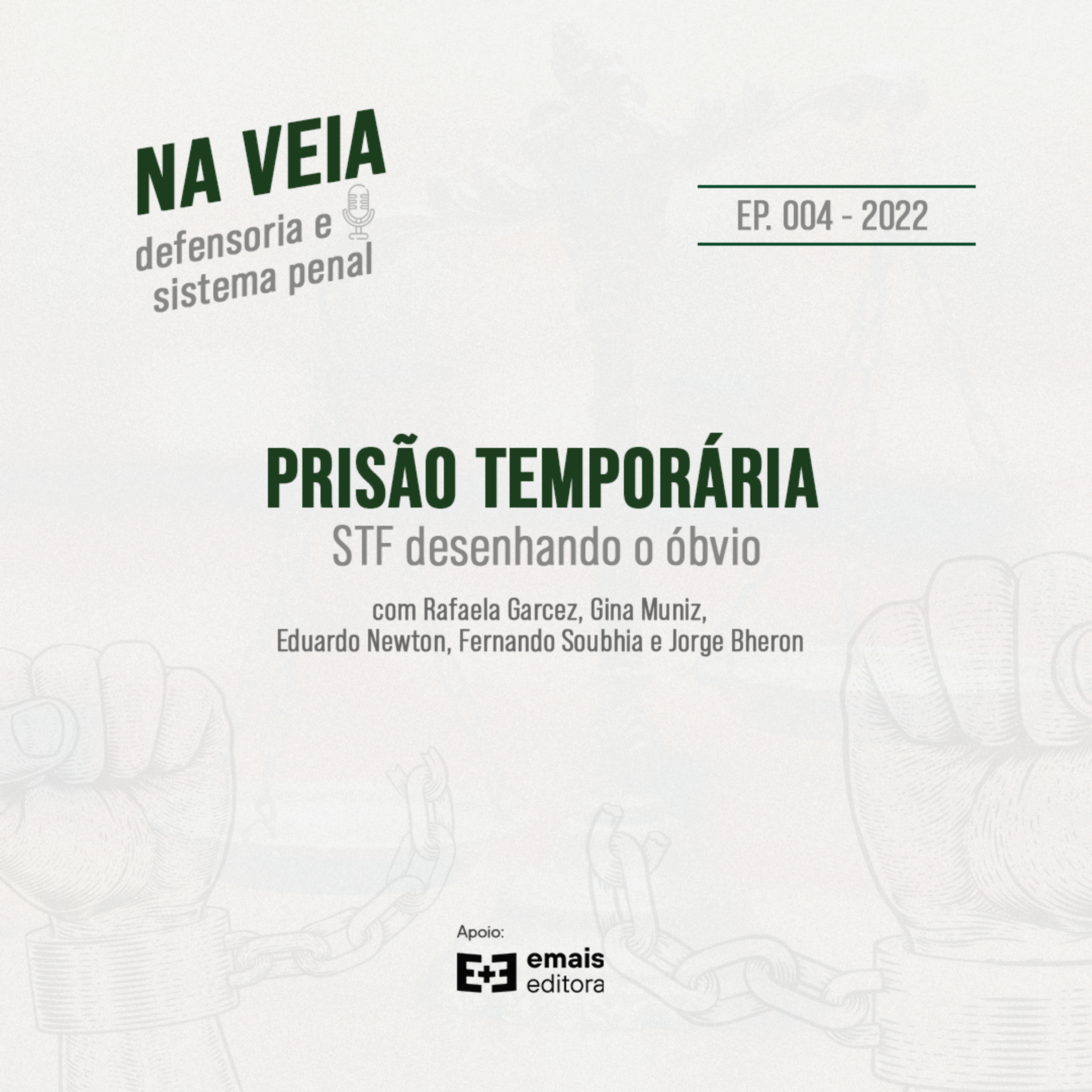 Na Veia - defensoria e sistema penal