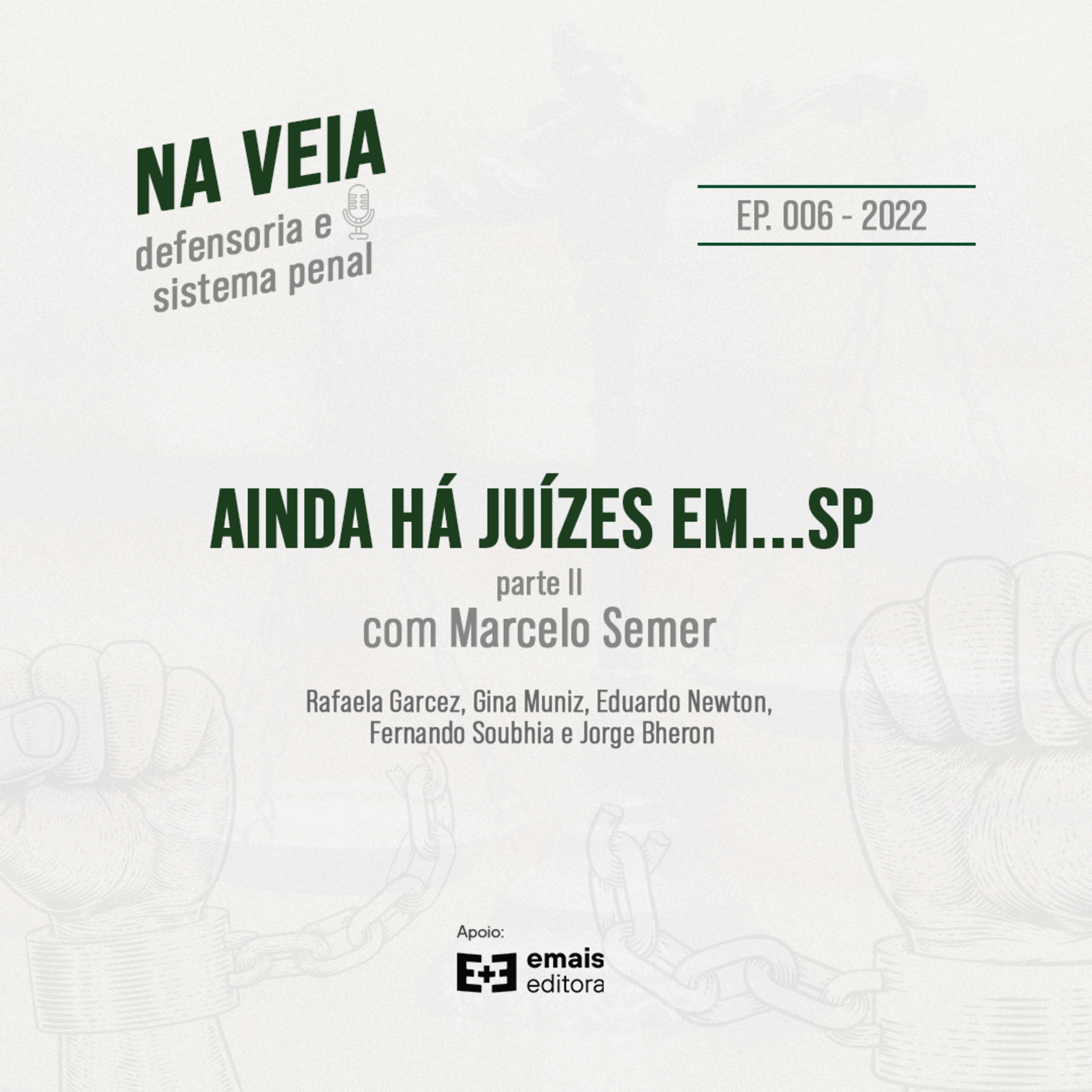 Na Veia - defensoria e sistema penal