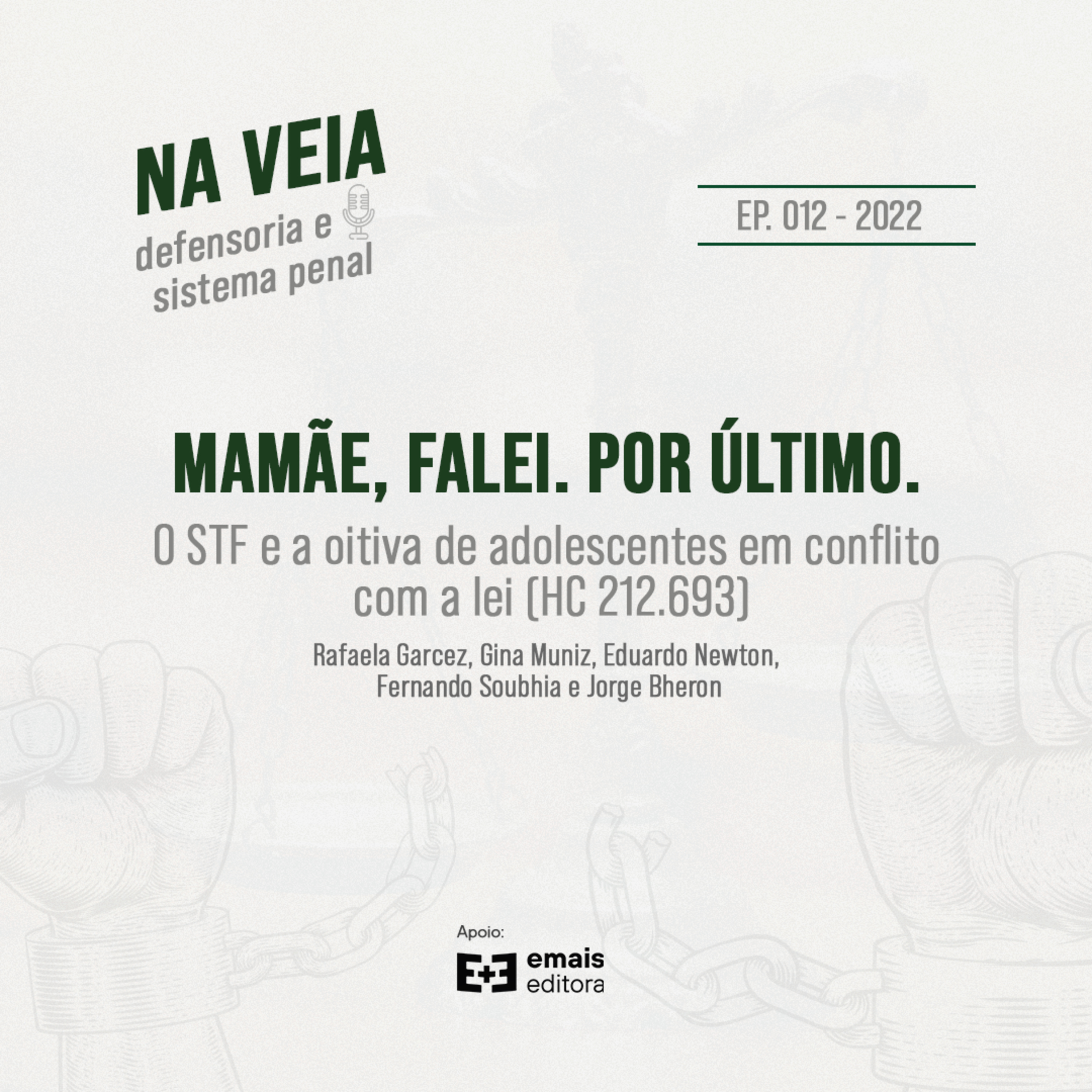 Na Veia - defensoria e sistema penal