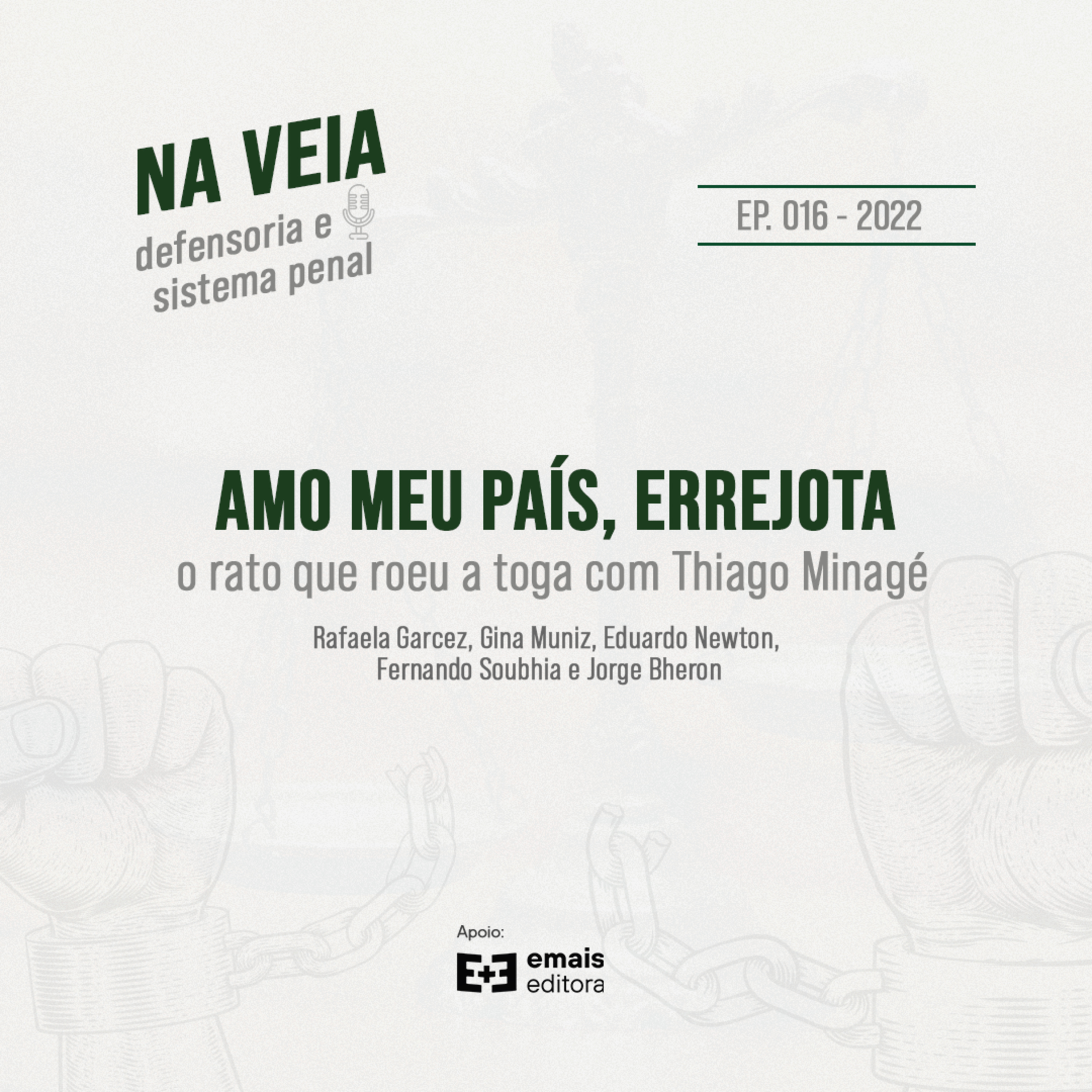 Na Veia - defensoria e sistema penal