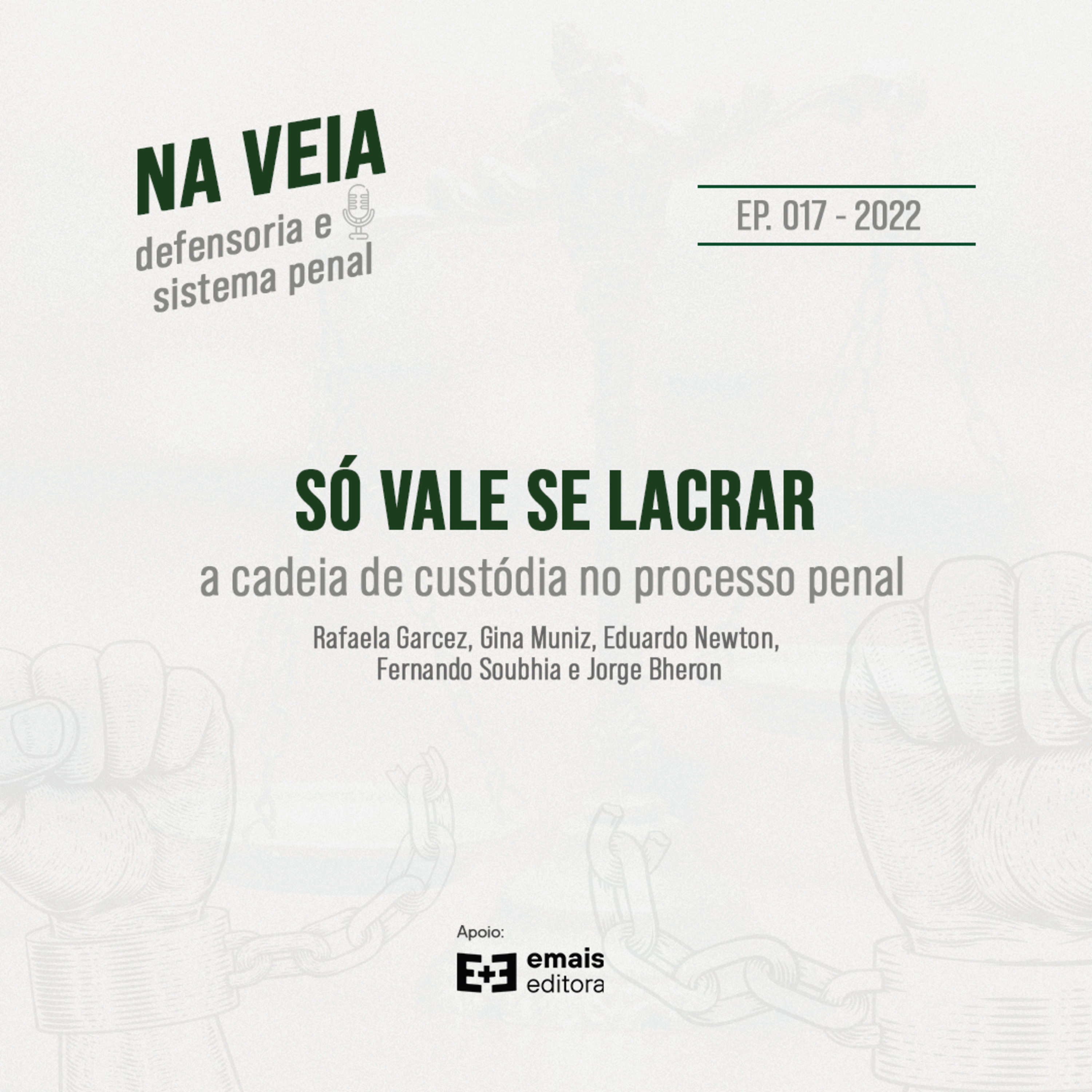 Na Veia - defensoria e sistema penal