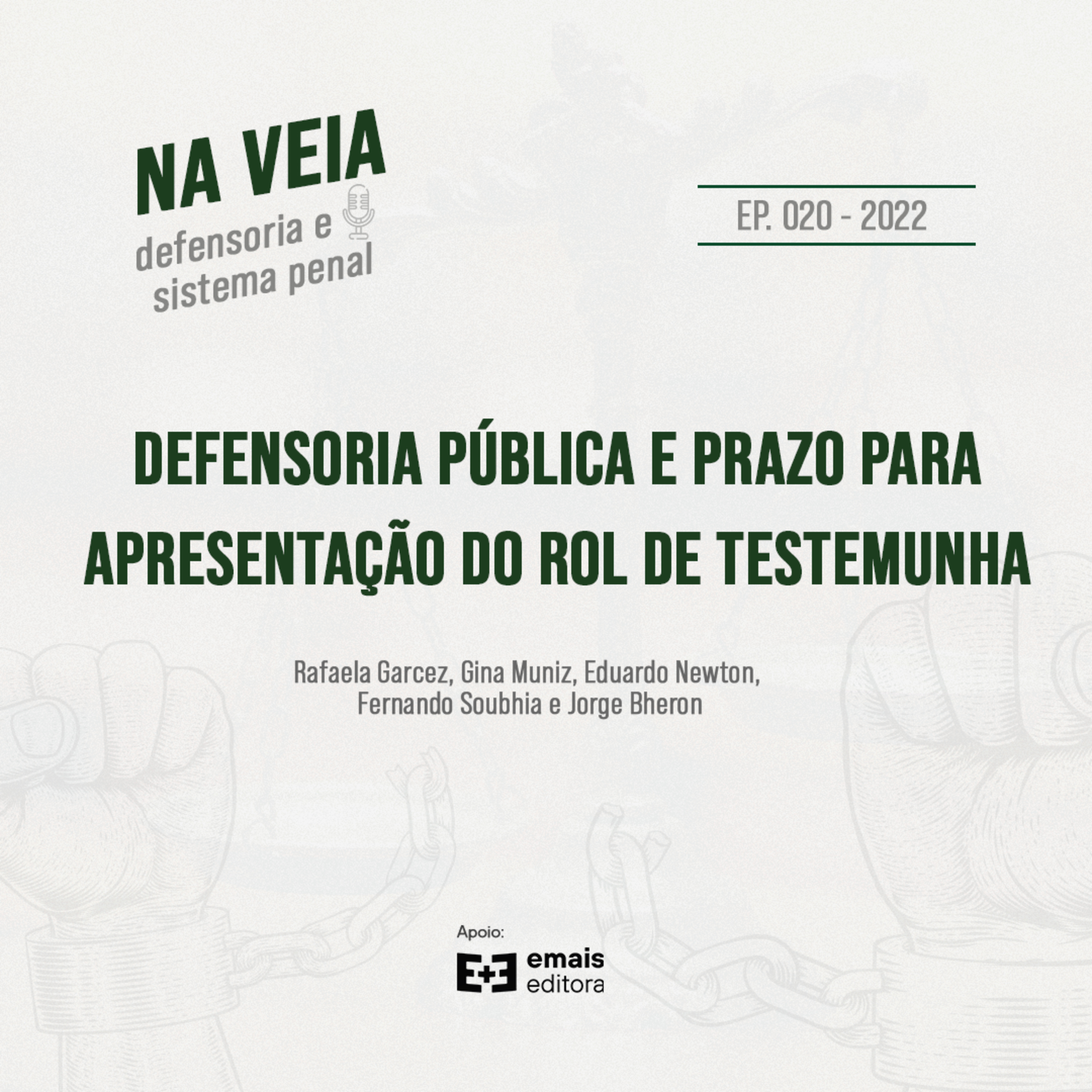Na Veia - defensoria e sistema penal