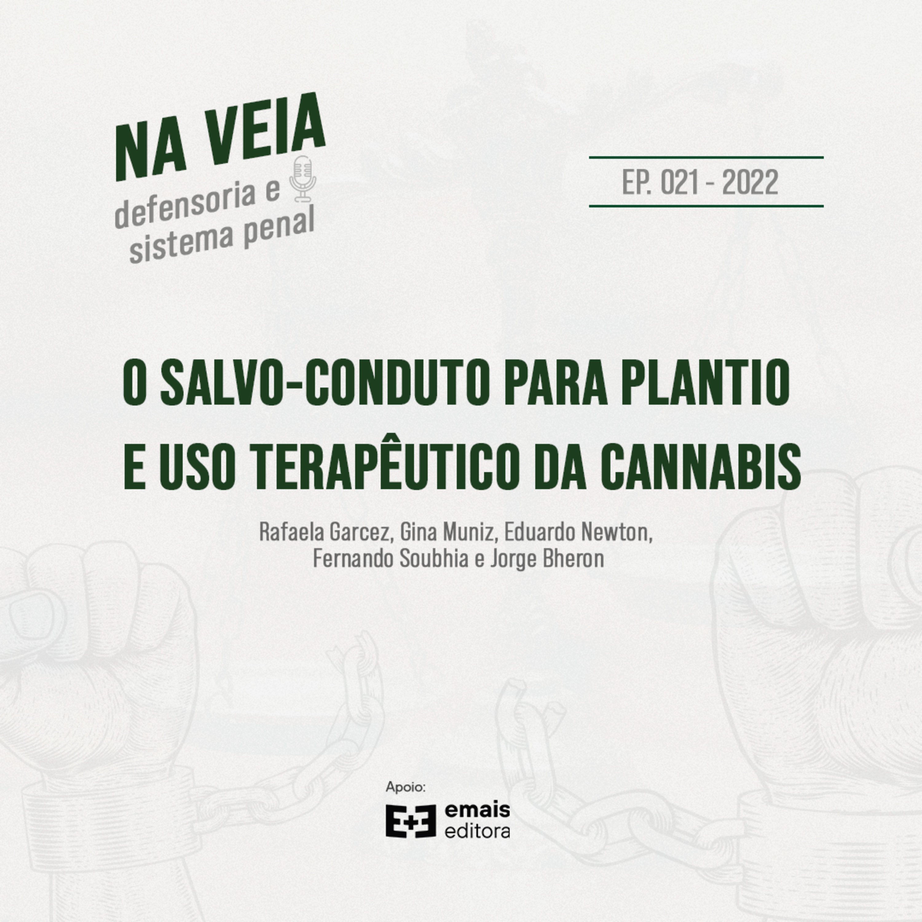 Na Veia - defensoria e sistema penal
